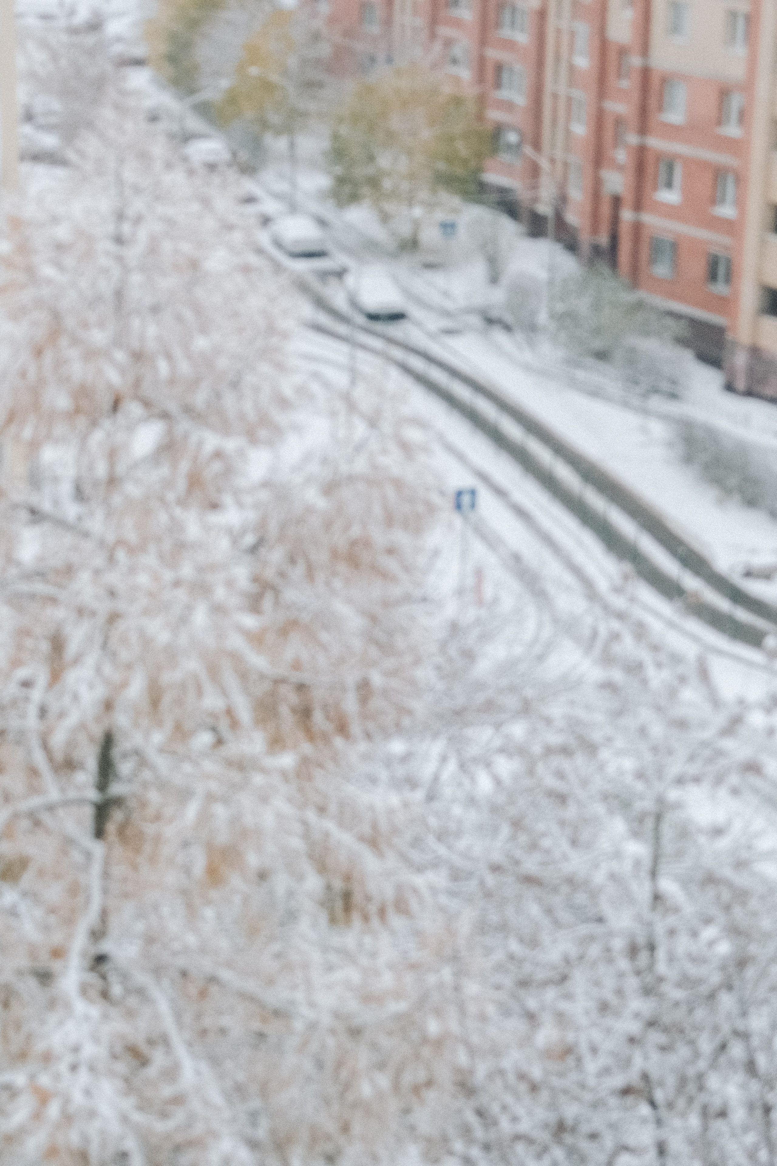 Первый снег. Аня Степанова