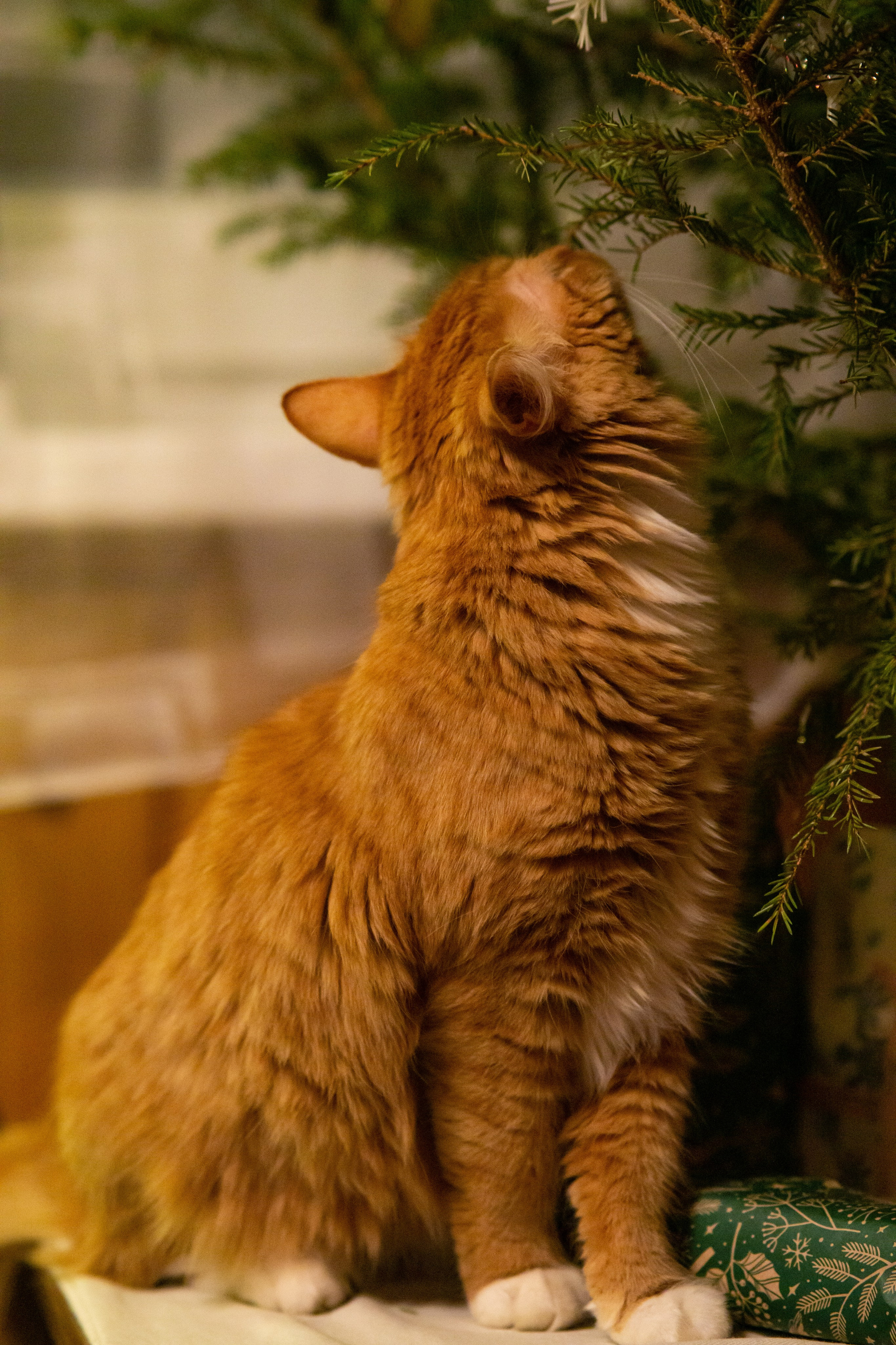 Вдохновение. Фотограф Софья Горбунова