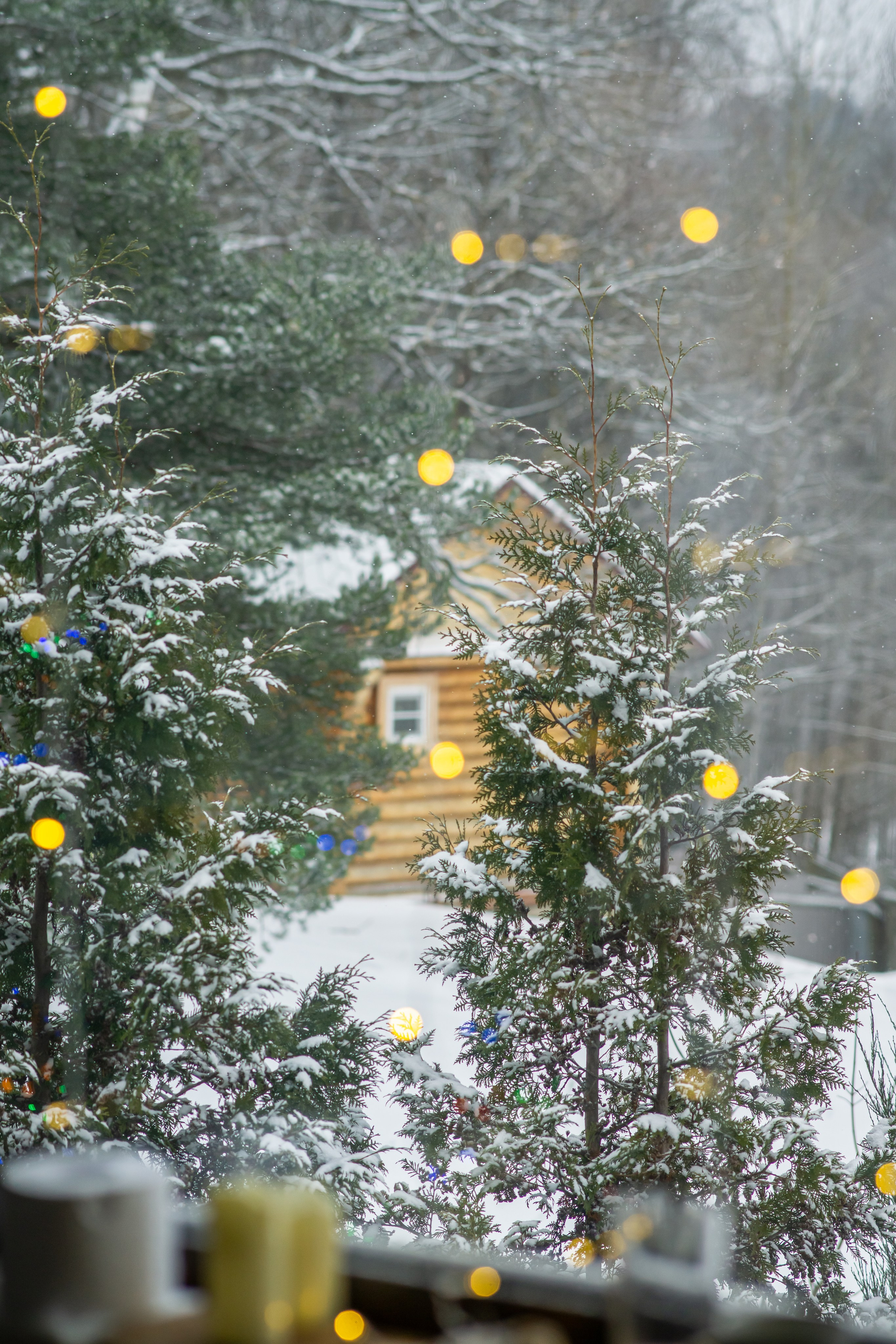 Вдохновение. Фотограф Софья Горбунова