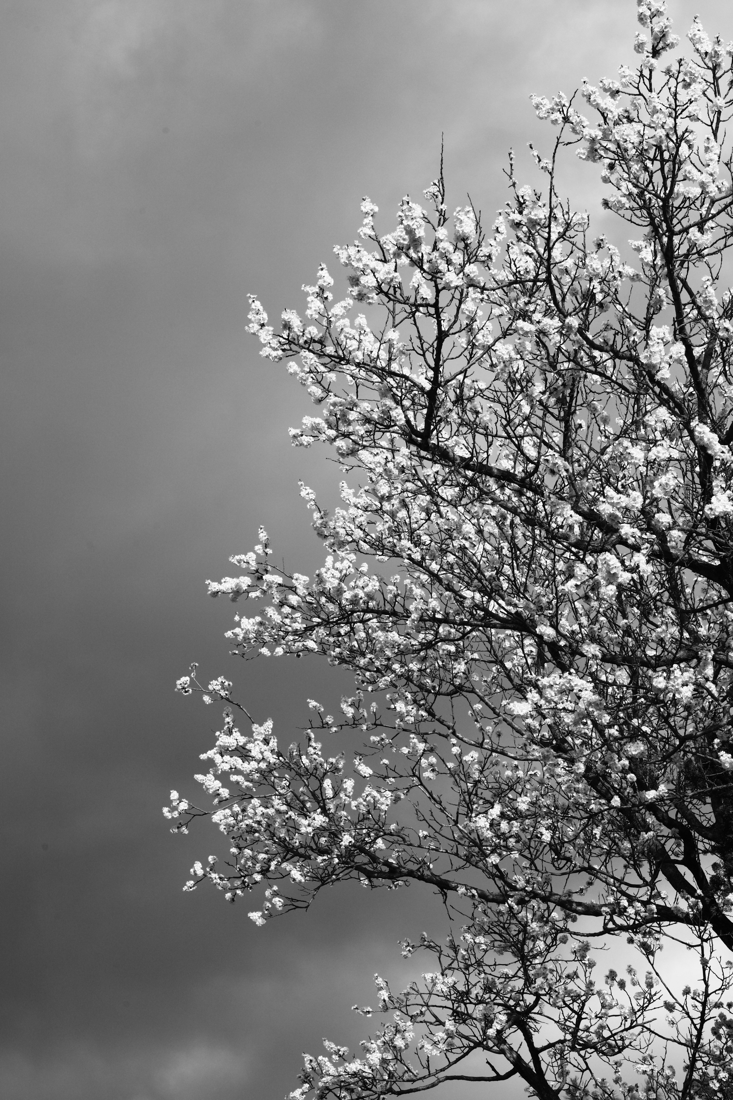 Что для меня красиво?