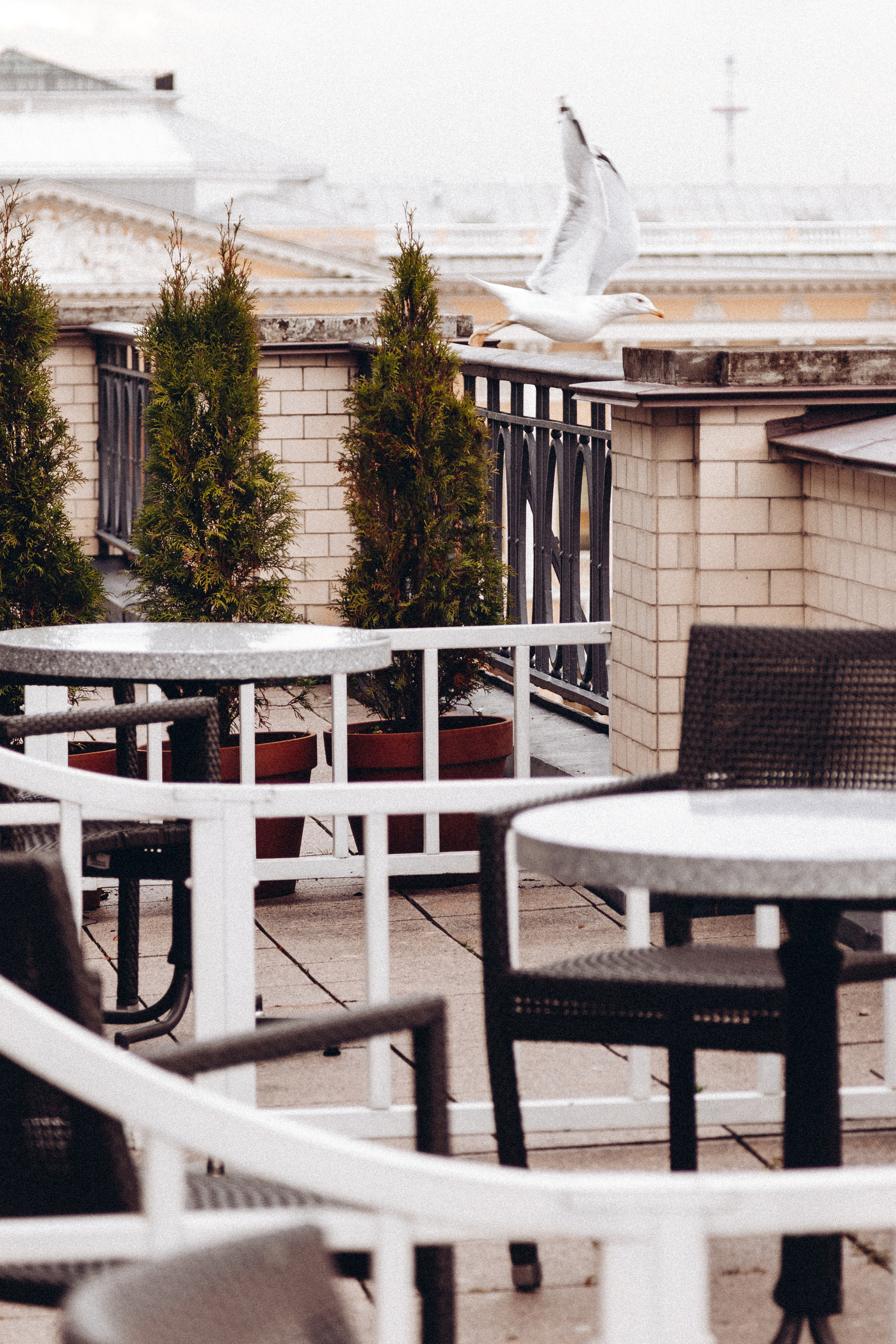 HB Party. Света Полетаева Москва