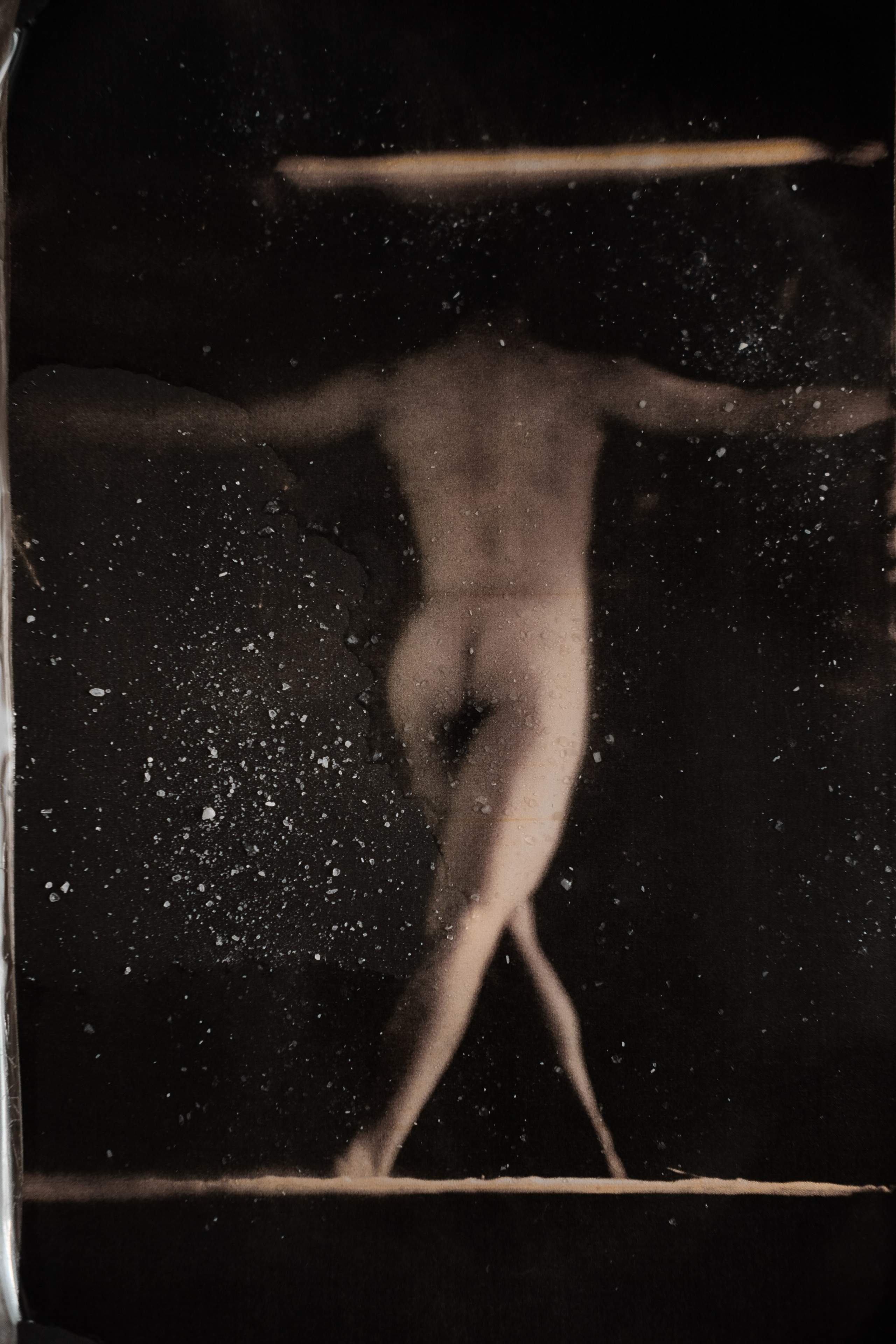 MORPHOLOGY OF THE UNIVERSE. VISUAL ARTIST. OLGA ZHDANOVA