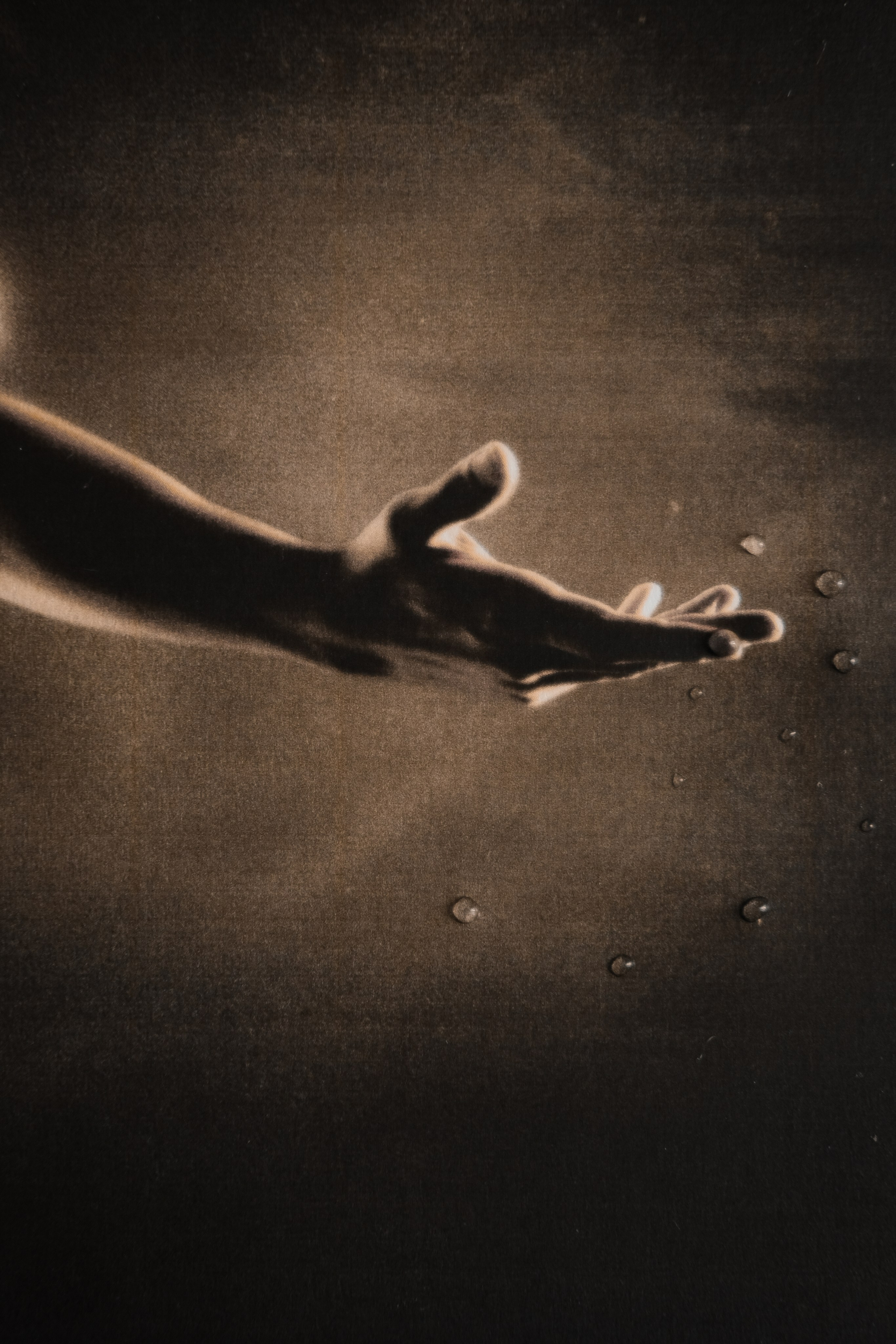 MORPHOLOGY OF THE UNIVERSE. VISUAL ARTIST. OLGA ZHDANOVA
