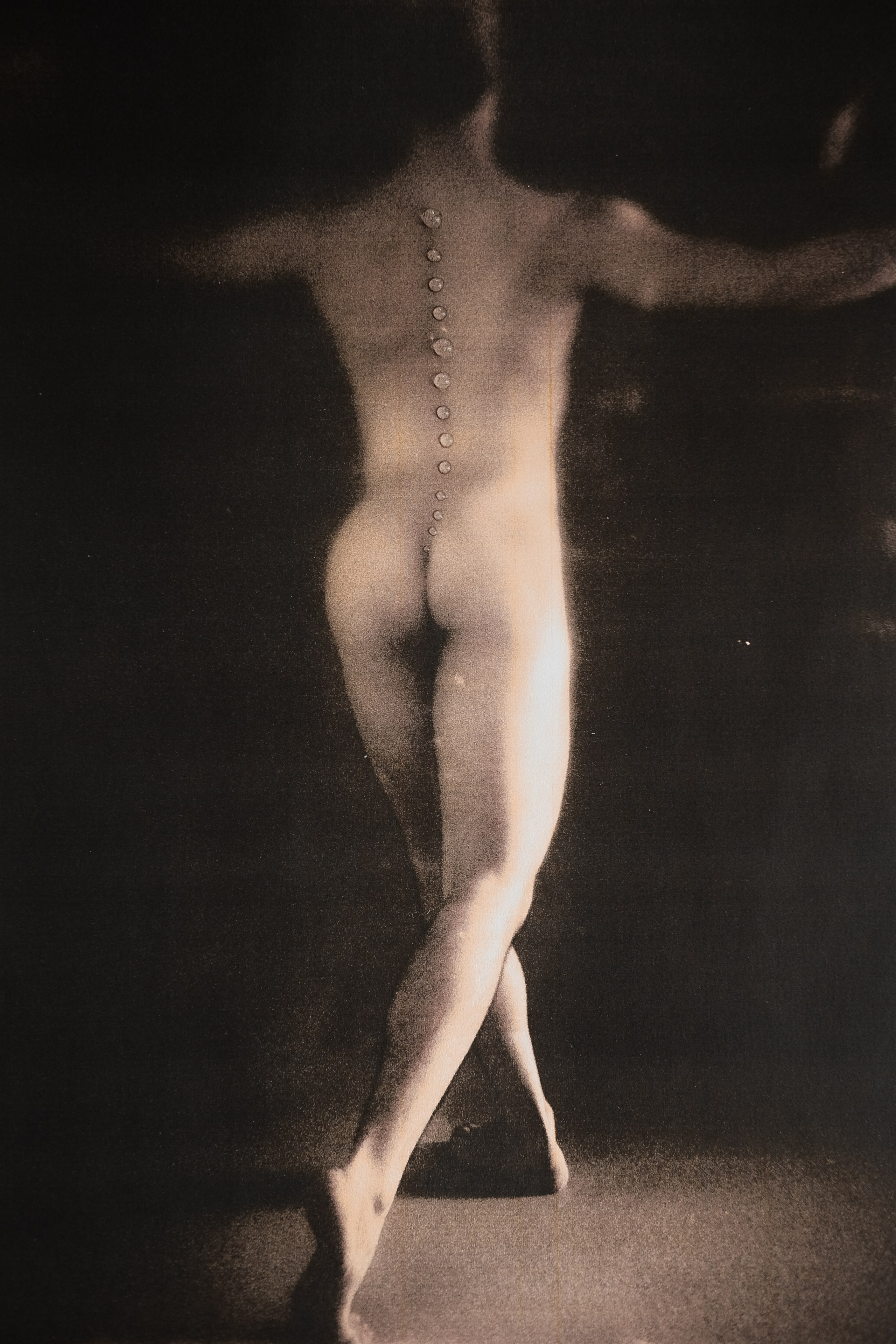 MORPHOLOGY OF THE UNIVERSE. VISUAL ARTIST. OLGA ZHDANOVA