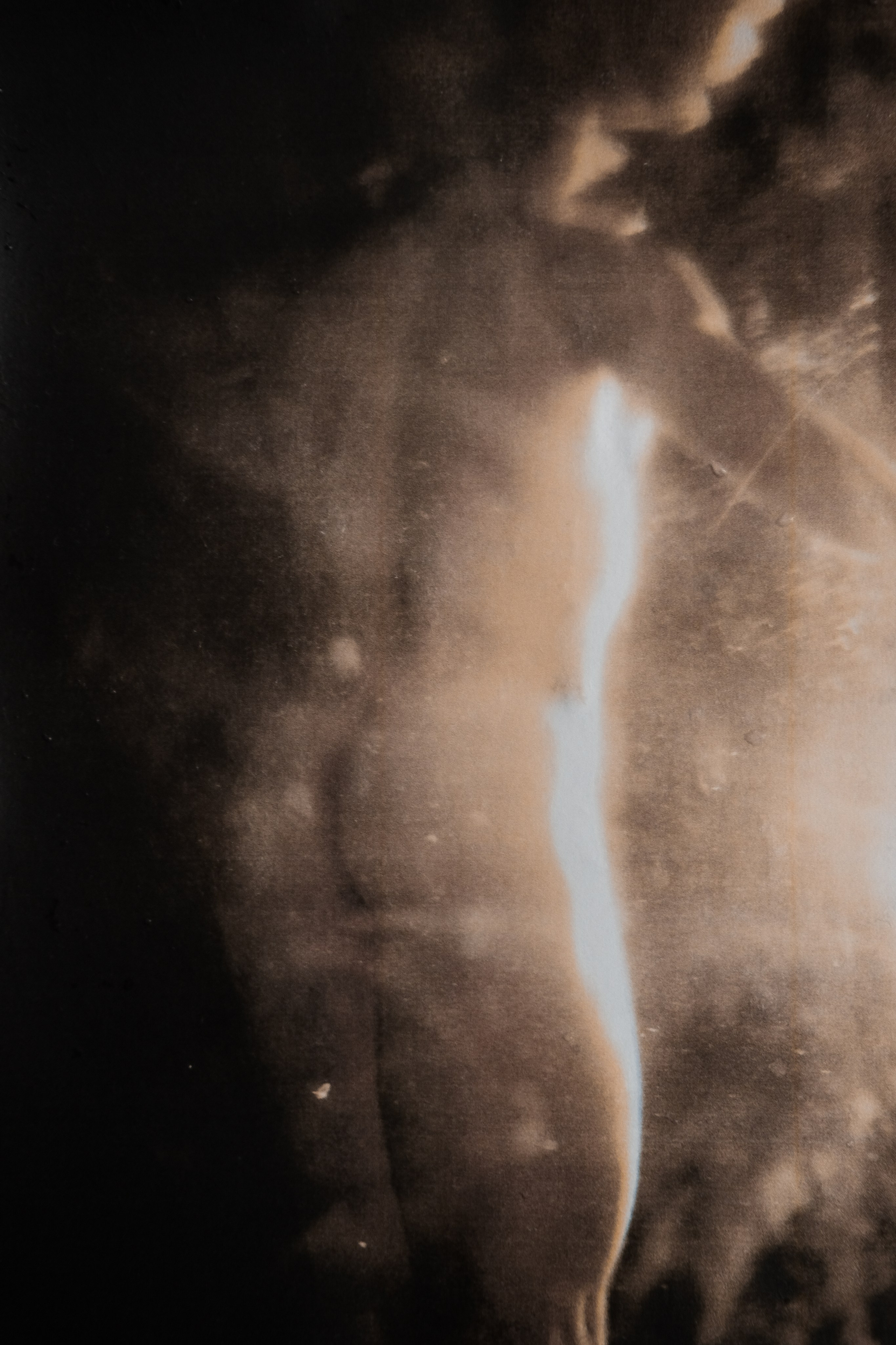 MORPHOLOGY OF THE UNIVERSE. VISUAL ARTIST. OLGA ZHDANOVA