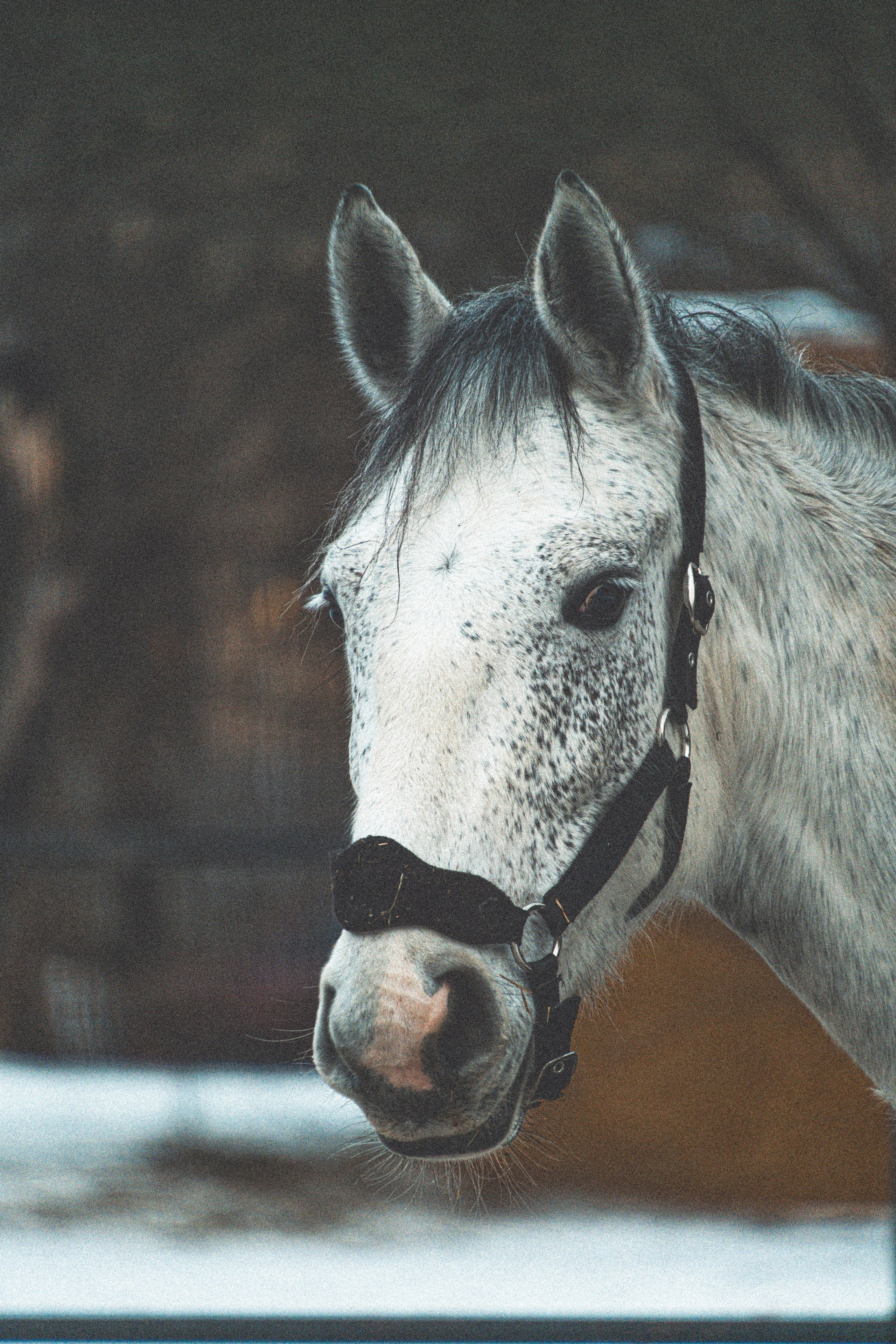Beauties. M. Neizvestniy — уличная и спортивная фотография