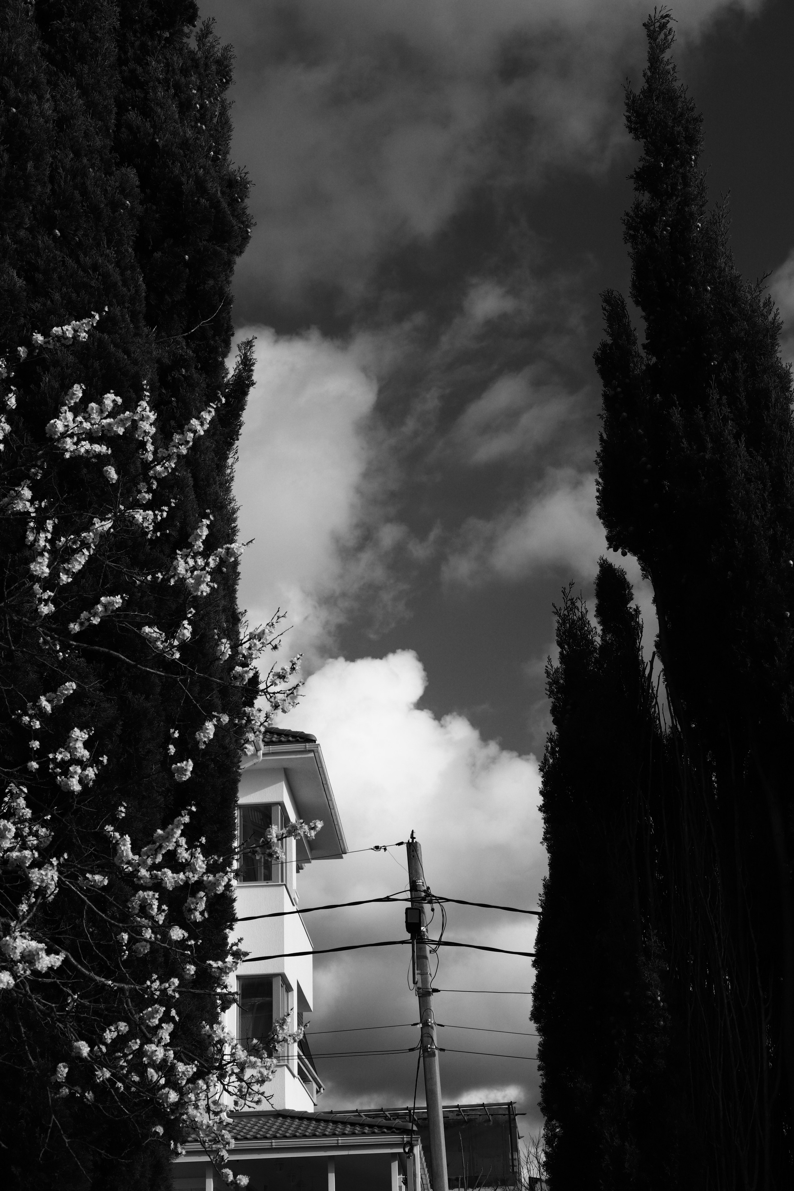 365 фотографий неба