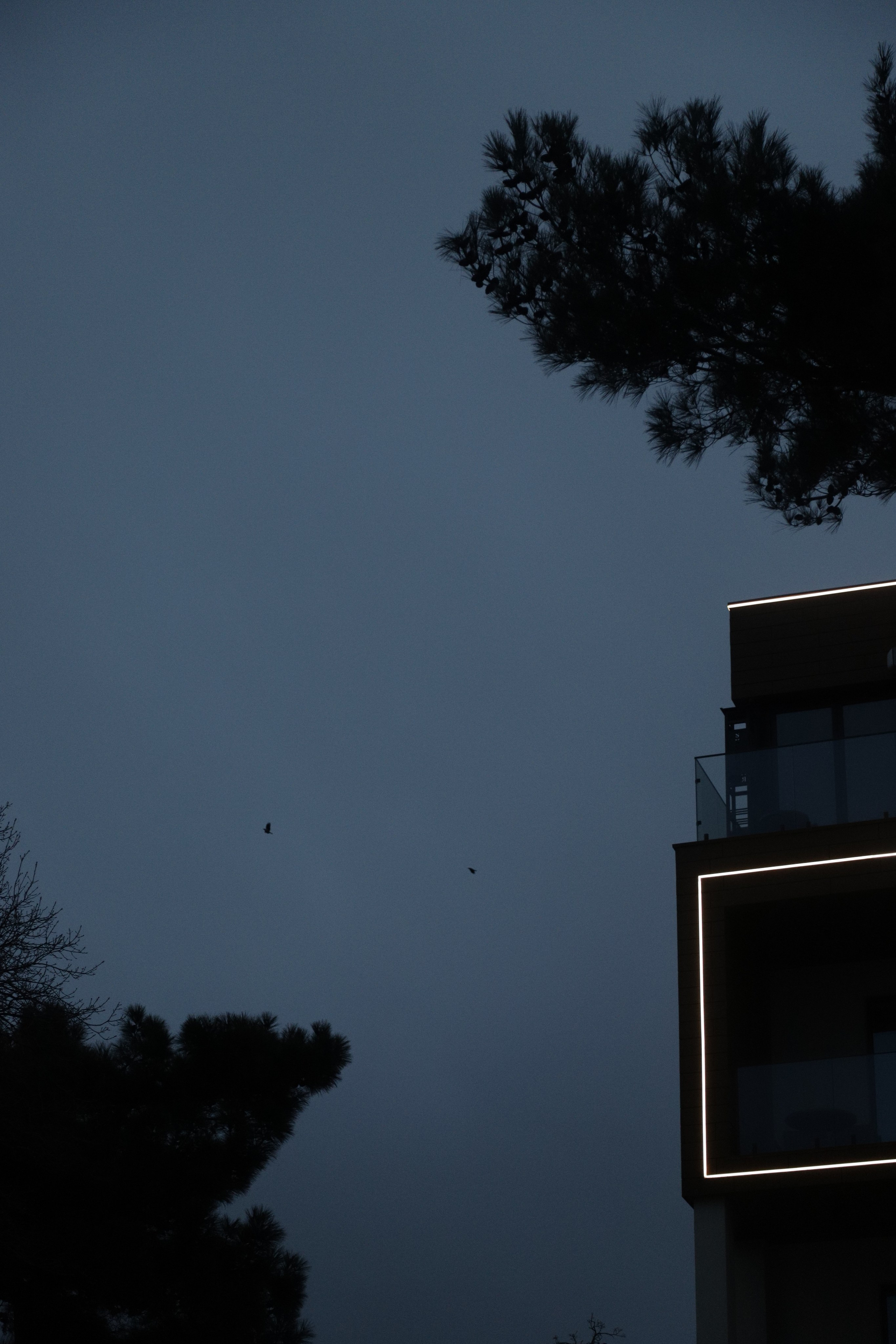 365 фотографий неба