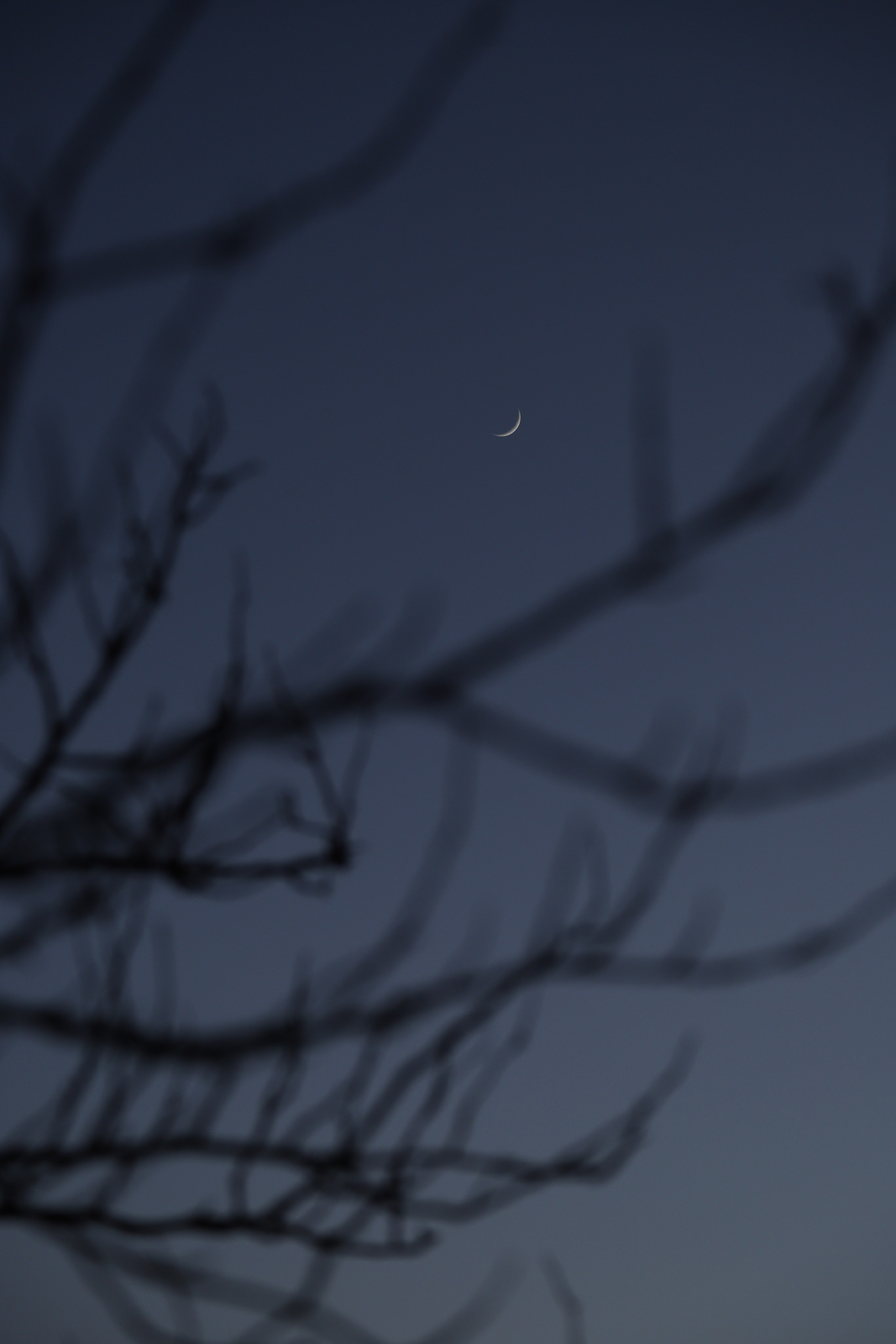 365 фотографий неба