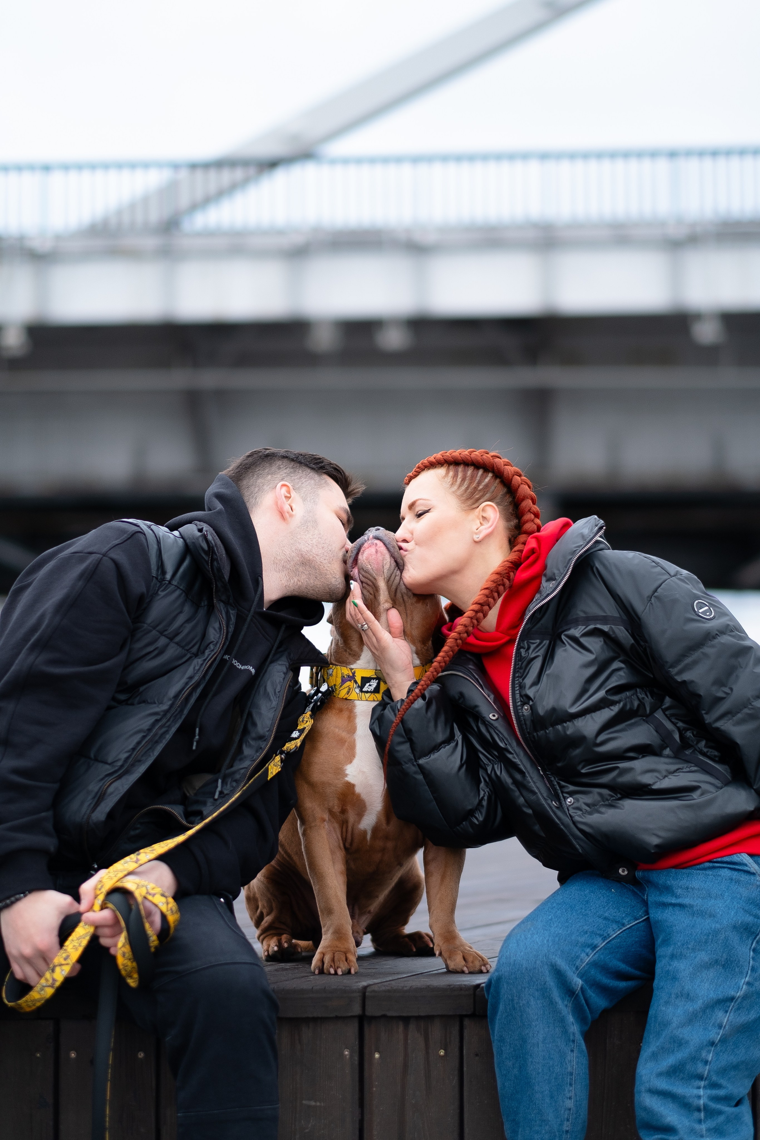 Прайс. Фотограф и видеограф анималист Аганина Дарья