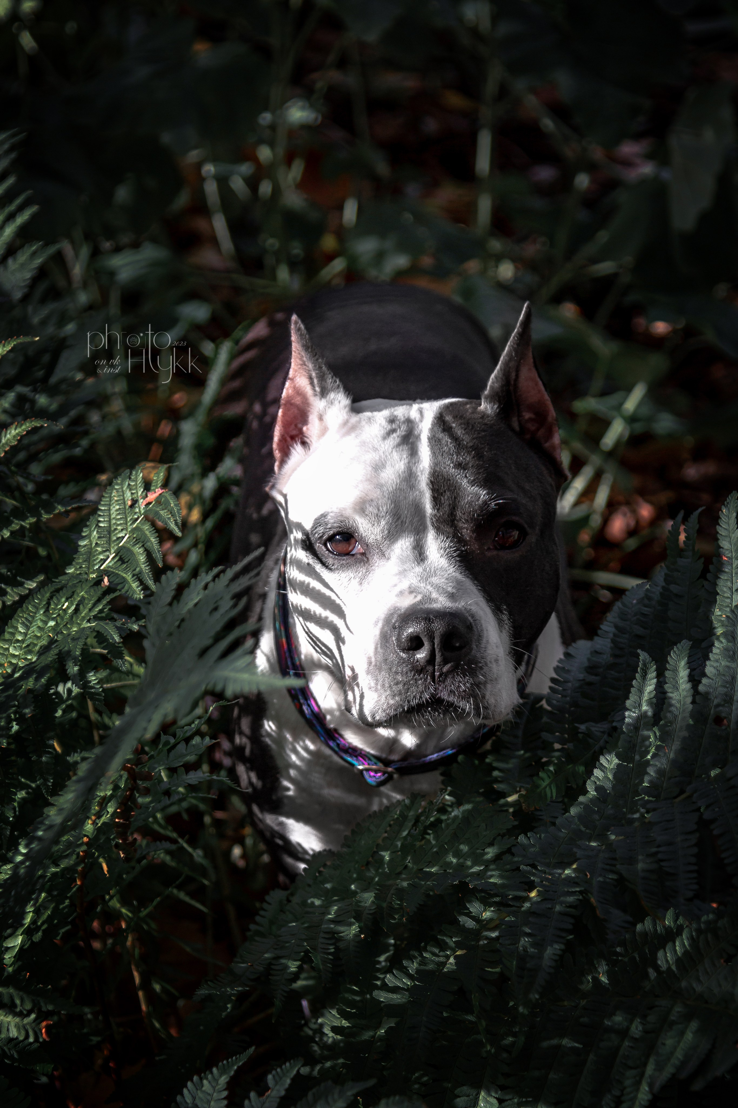 Услуги. Htykk_photo