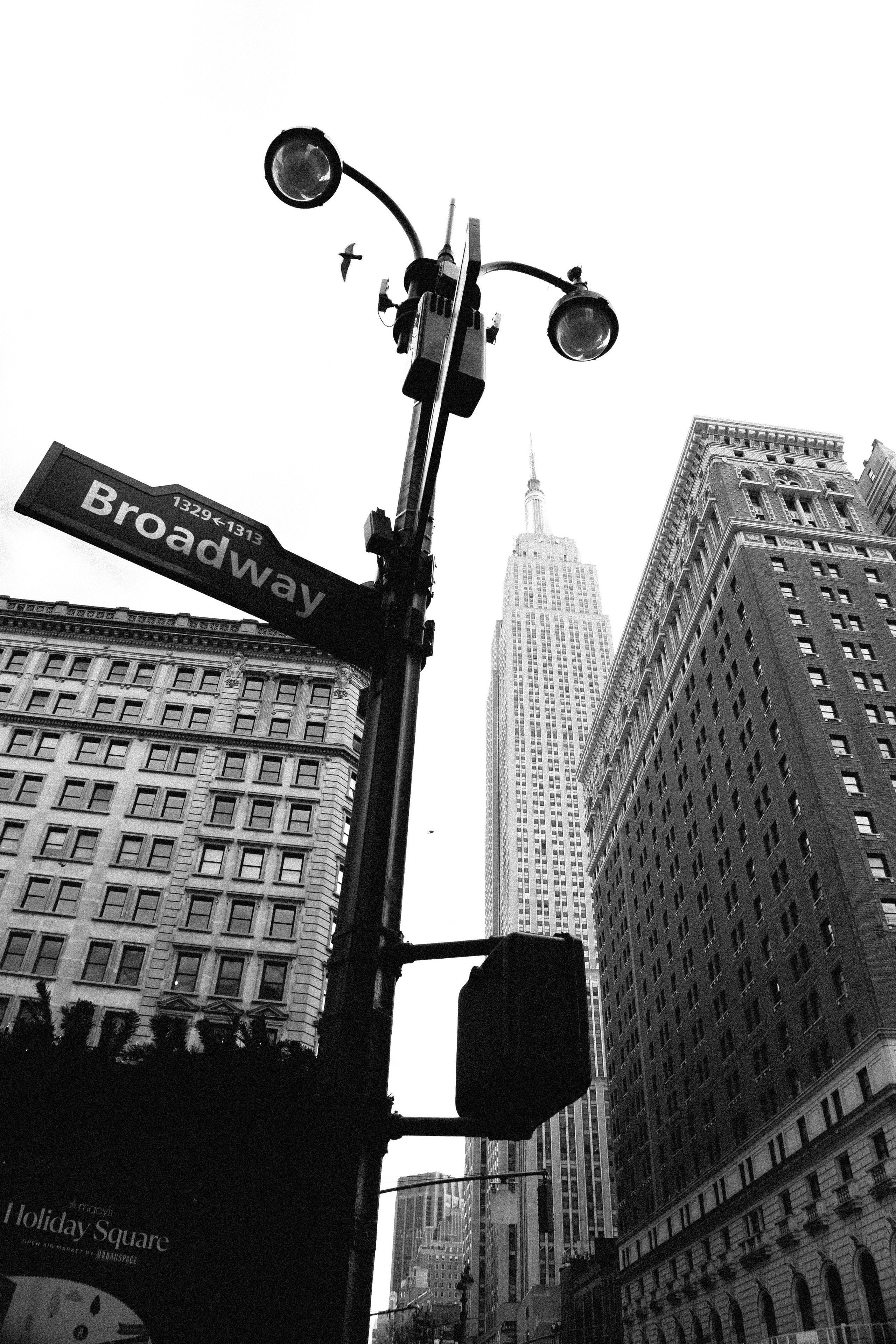 Открытки и постеры. Фотограф Валерия