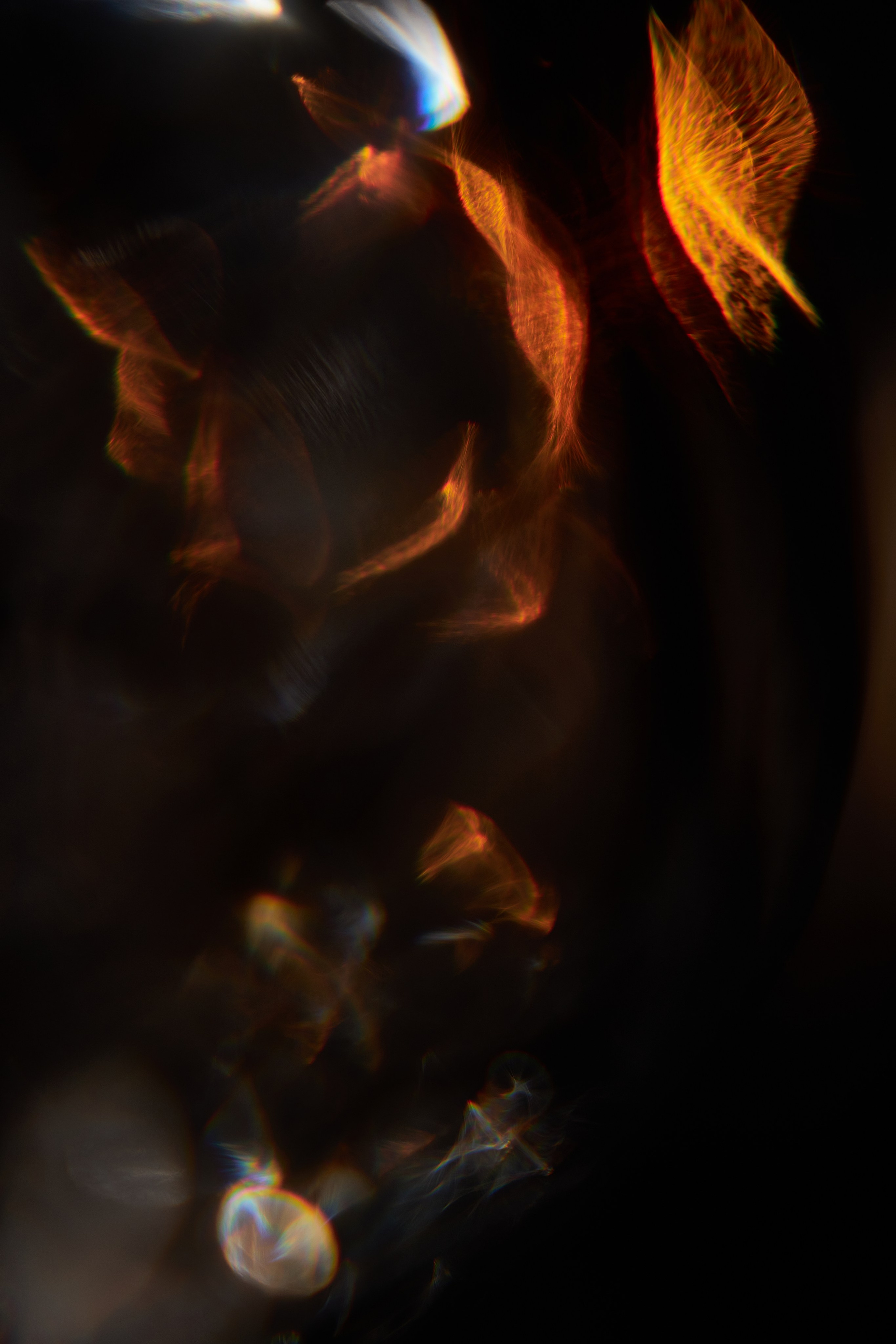 Эксклюзивная печать макро-фотографий. Sandra Marselly | Абстрактная Макро-Фотография