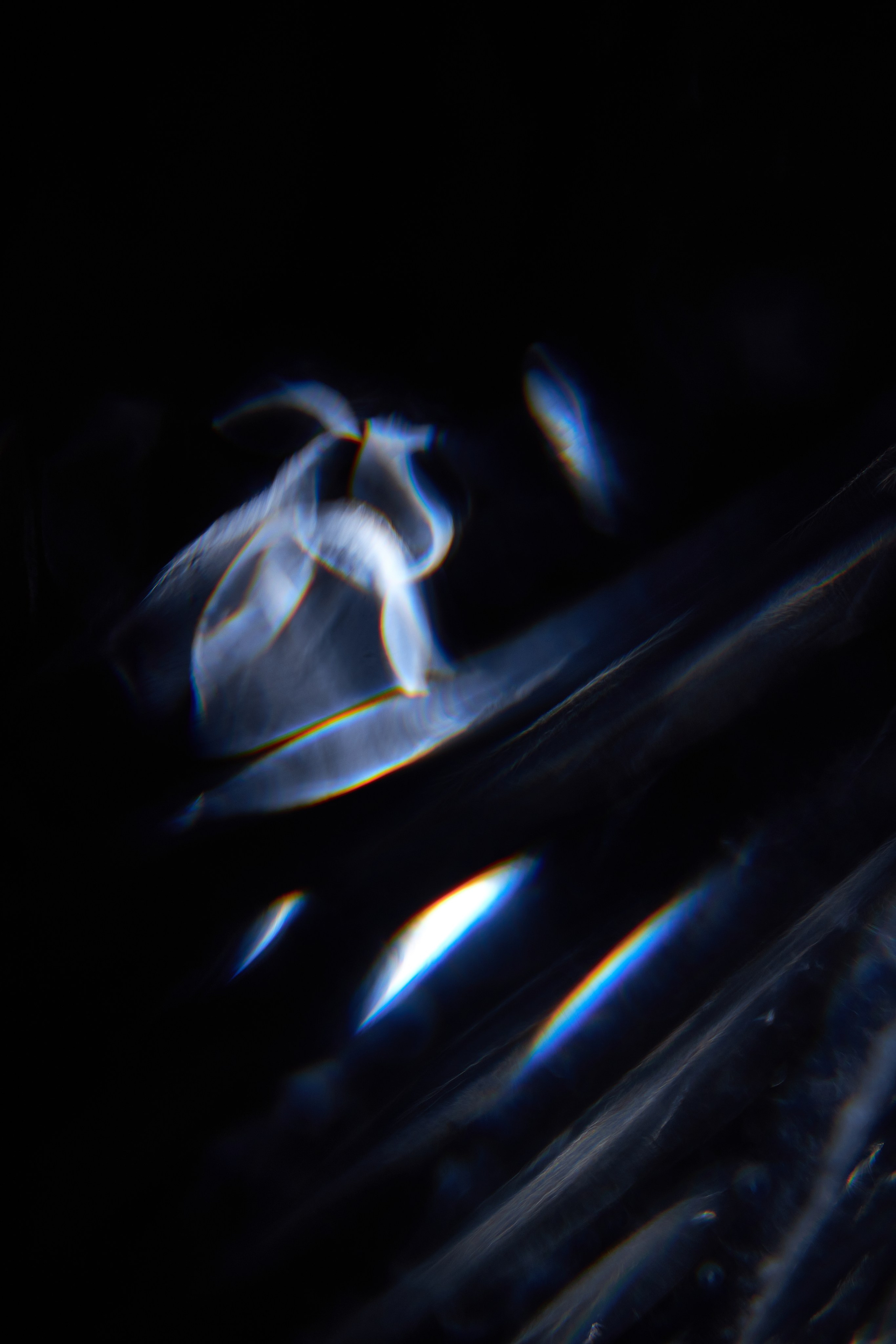 Эксклюзивная печать макро-фотографий. Sandra Marselly | Абстрактная Макро-Фотография