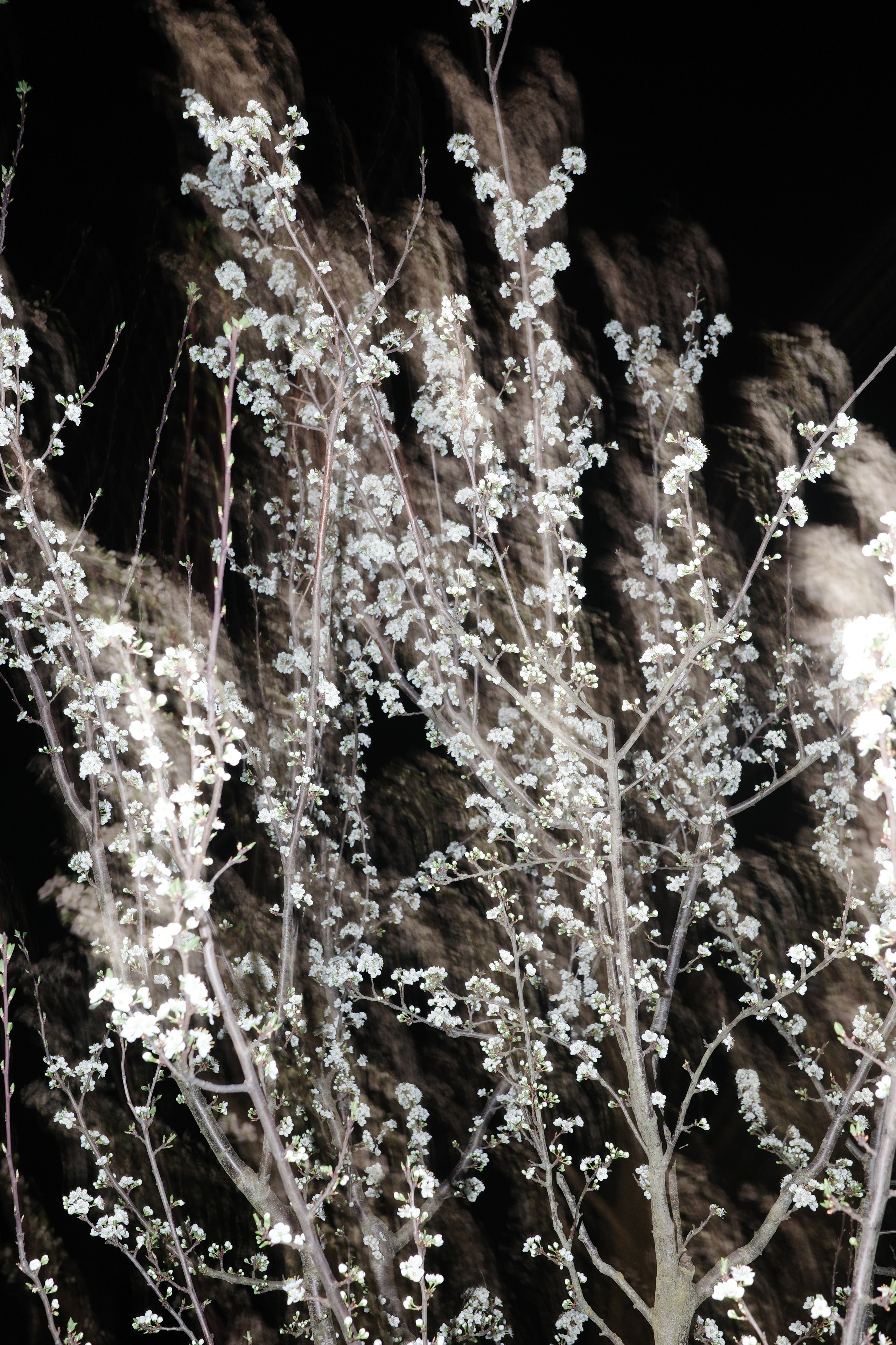 Круг жизни. Пылина Ирина — современная фотография