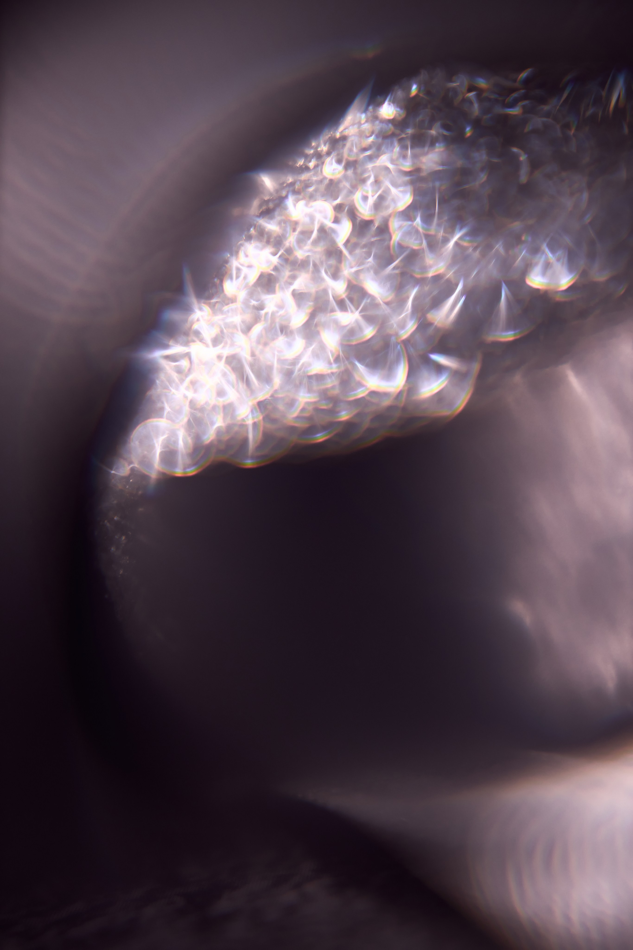 Эксклюзивная печать макро-фотографий. Sandra Marselly | Абстрактная Макро-Фотография