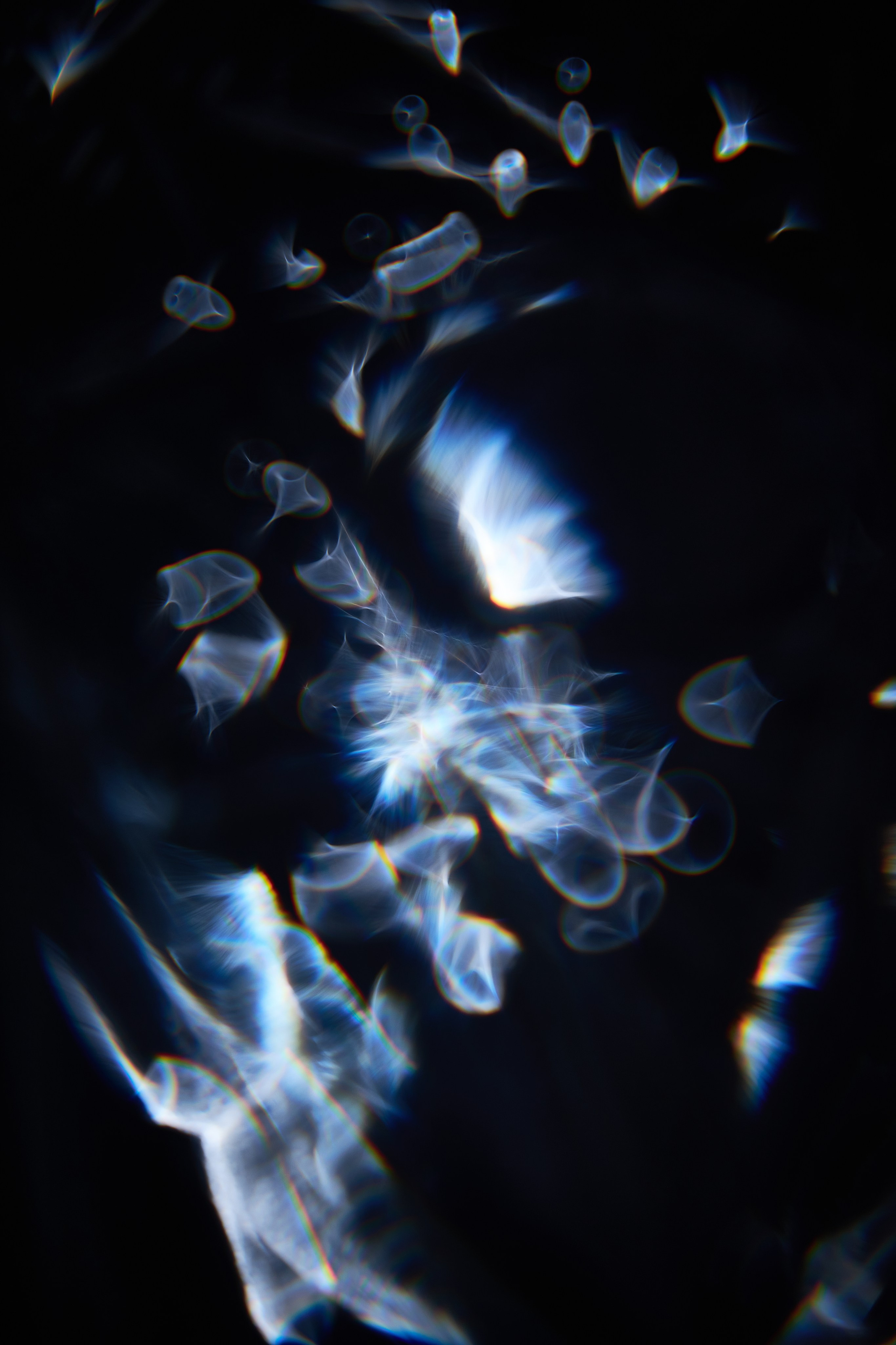 Эксклюзивная печать макро-фотографий. Sandra Marselly | Абстрактная Макро-Фотография