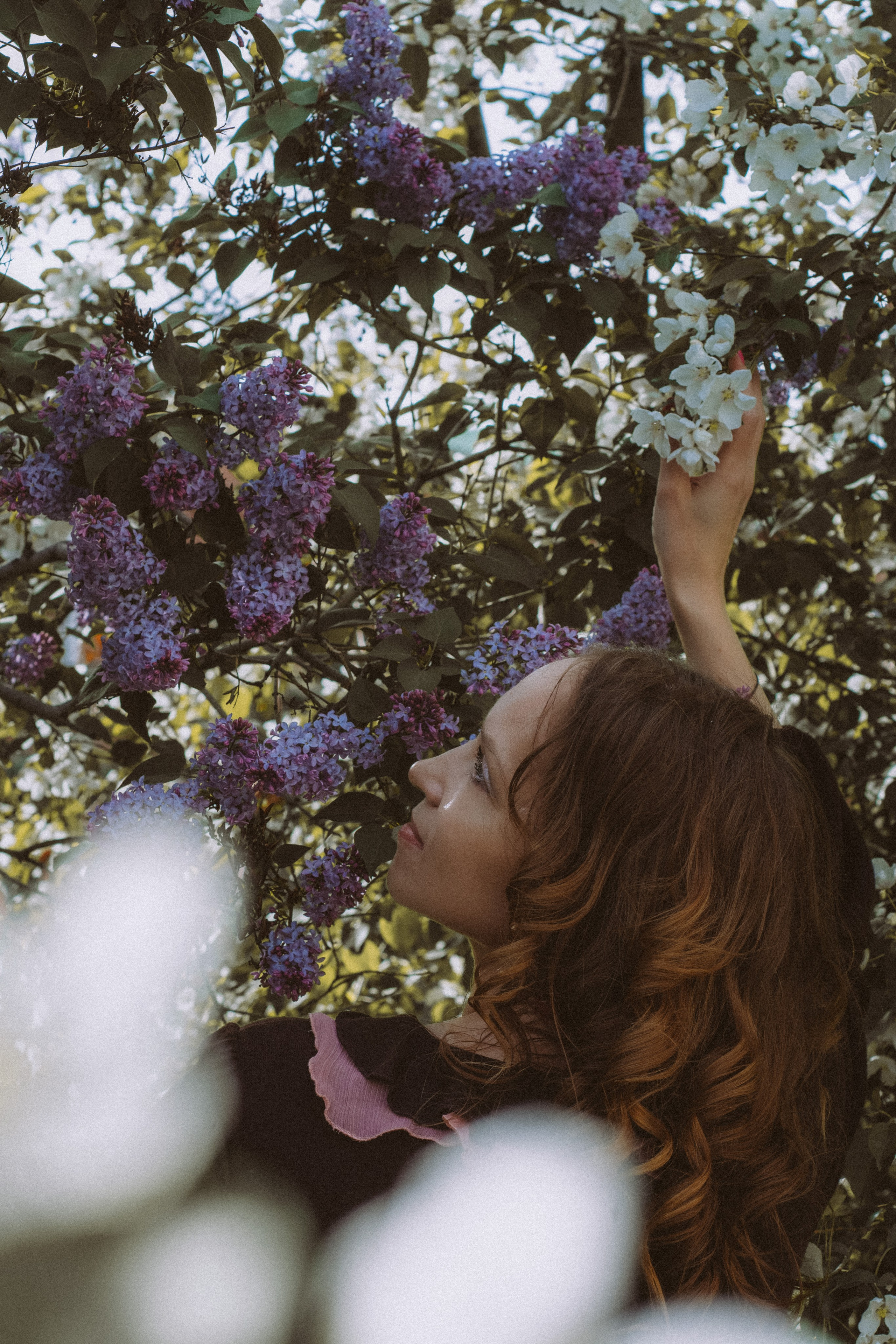 THE SOUL OF THE LILAC. Yulia Yurchevskaya | Art Director & Visual Visionary