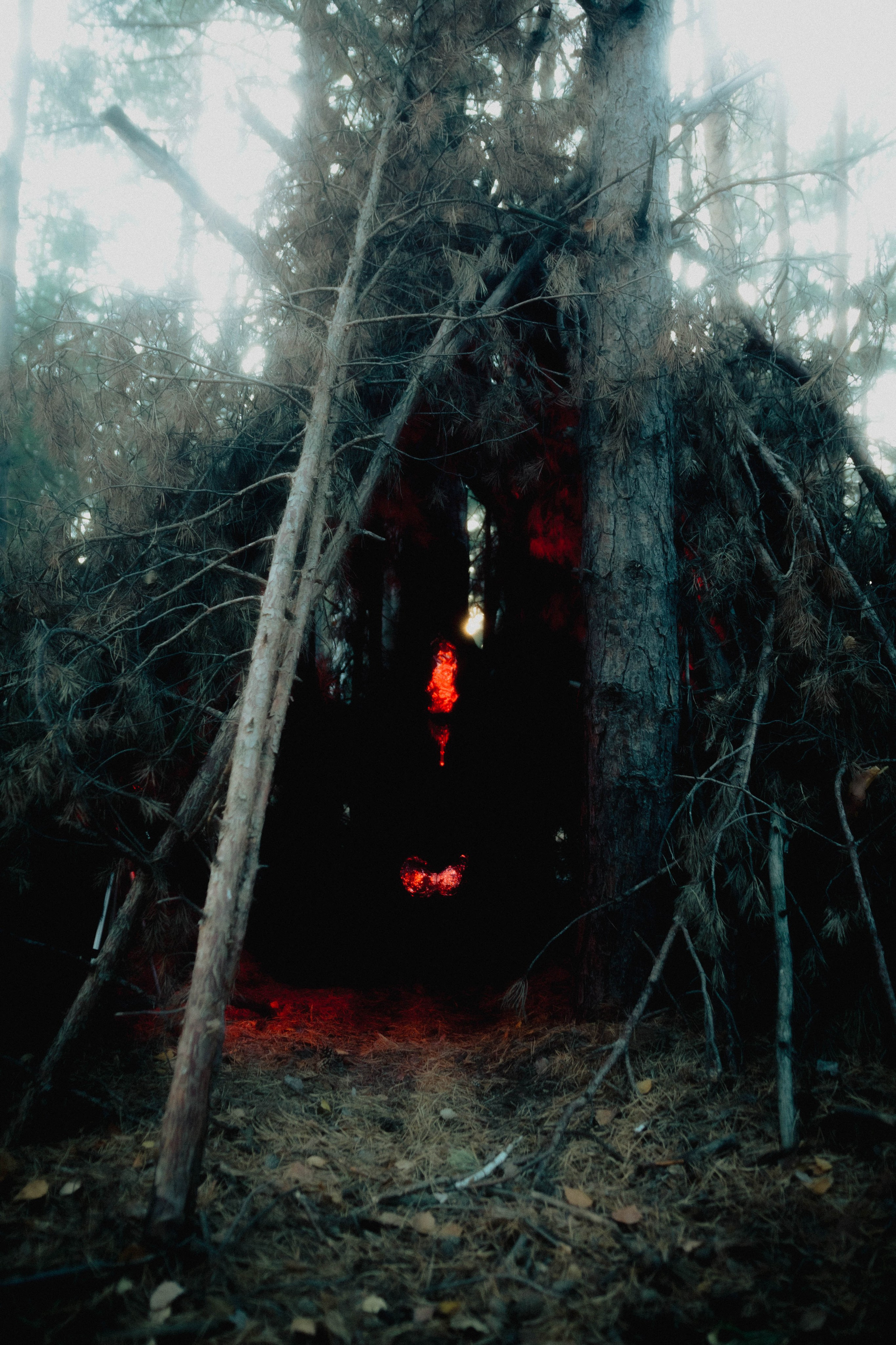 THE INORGANIC COCOON. Yulia Yurchevskaya | Art Director & Visual Visionary
