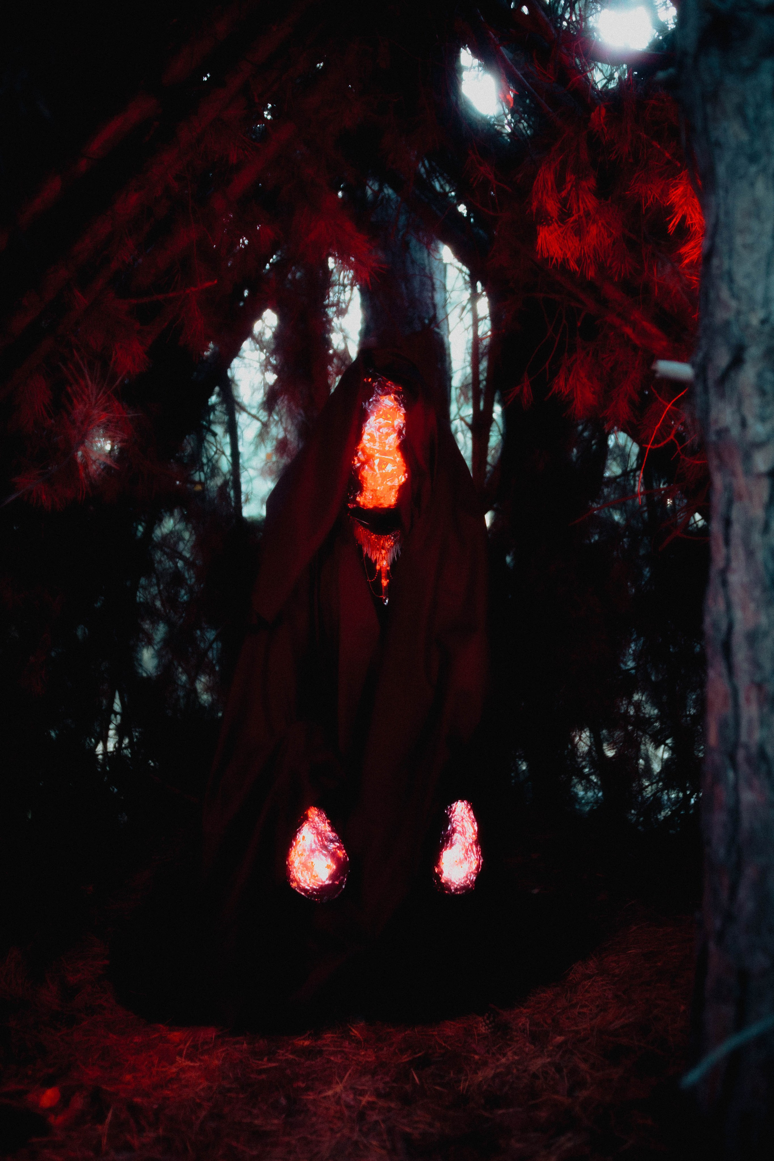 THE INORGANIC COCOON. Yulia Yurchevskaya | Art Director & Visual Visionary