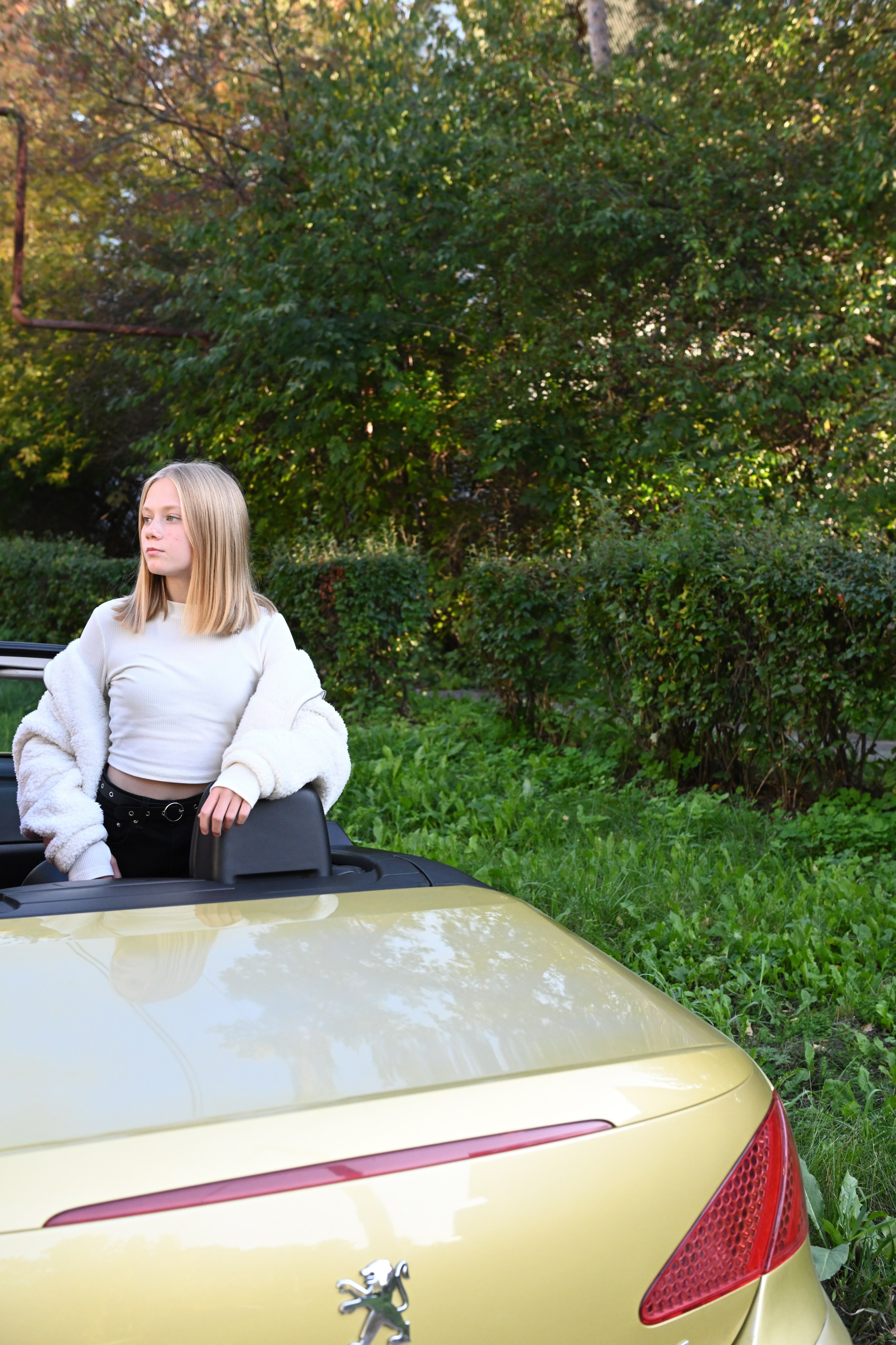 Снежинск фото Андрианов