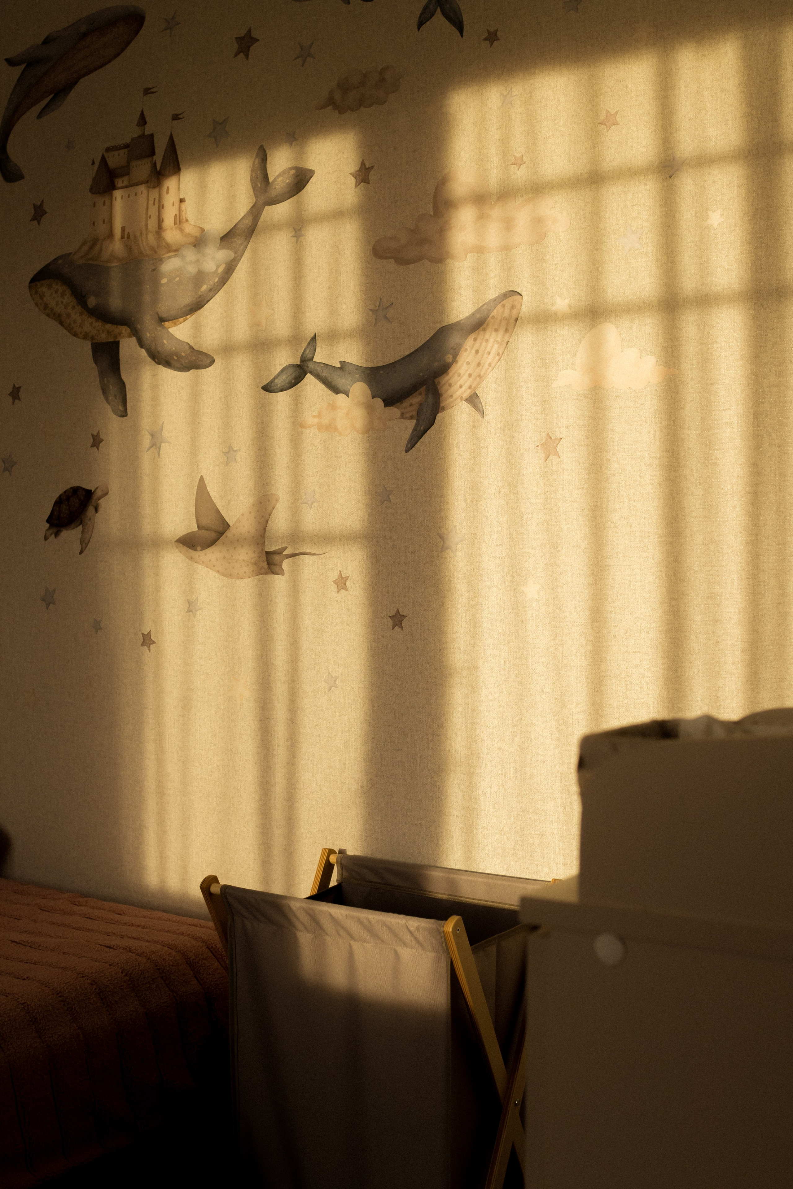 Фотограф Николай Шевченко