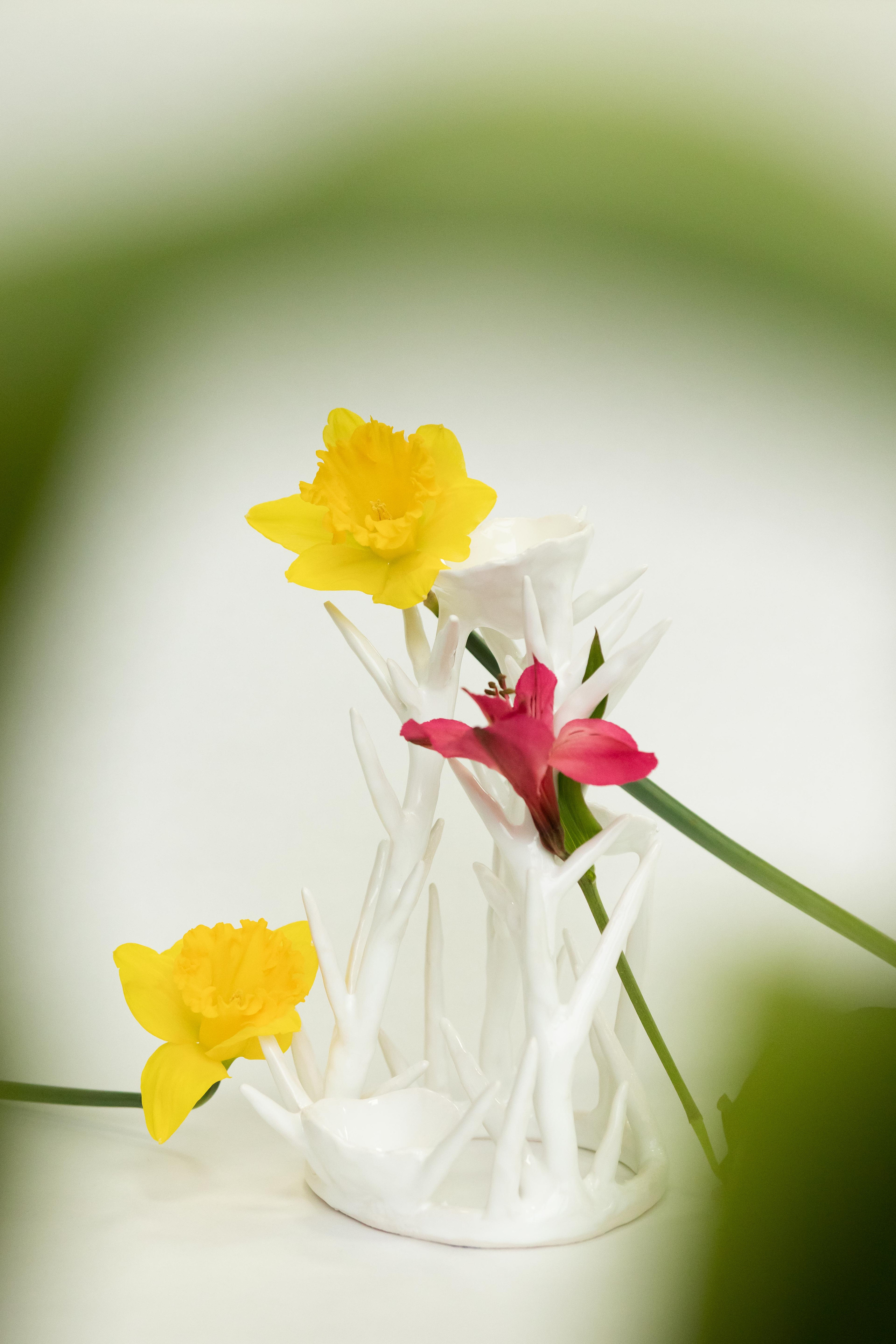 Предметный фотограф Москва Глухарёва Оля