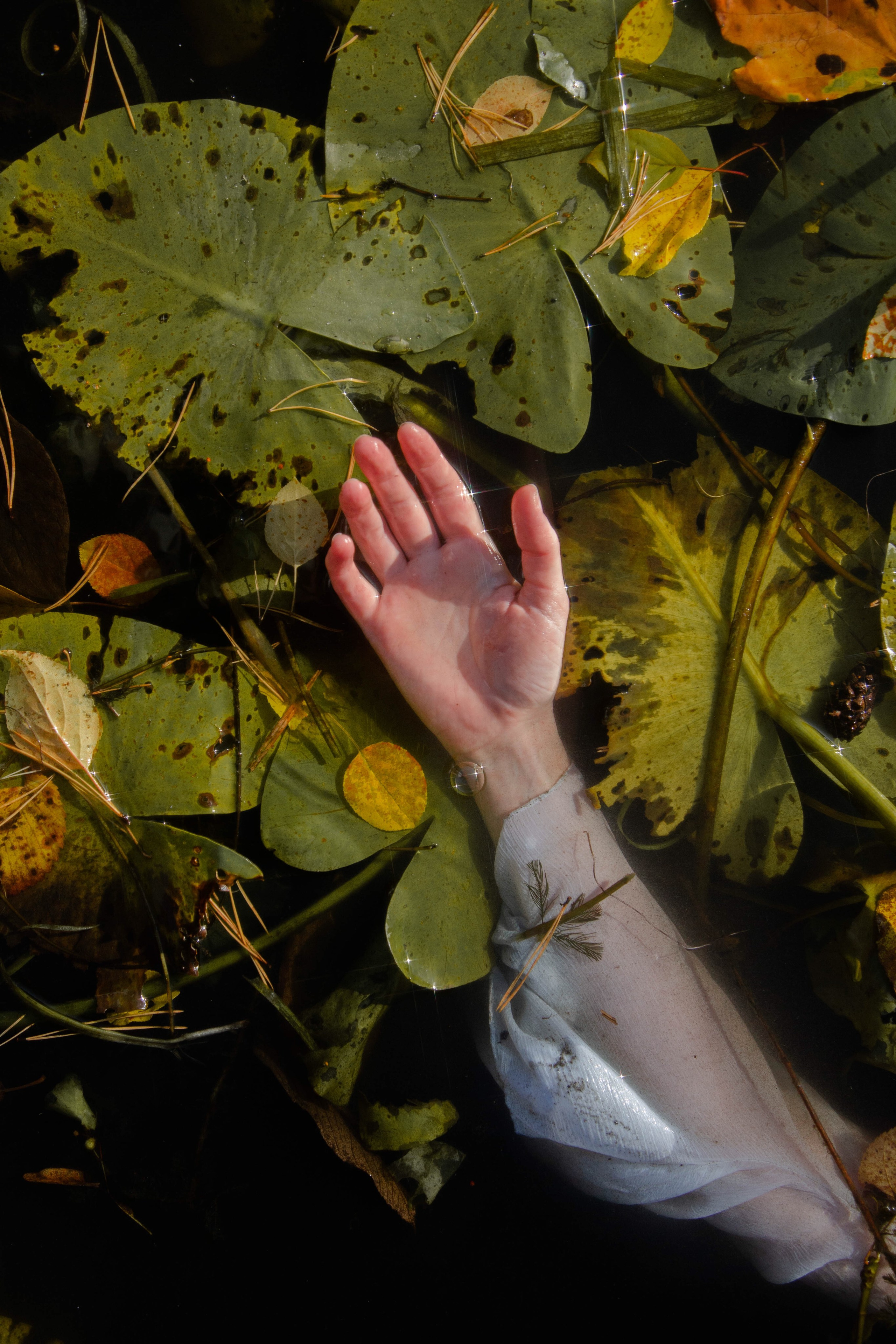 Аромакасание. Творчество, исцеление, эстетика и щепотка волшебства