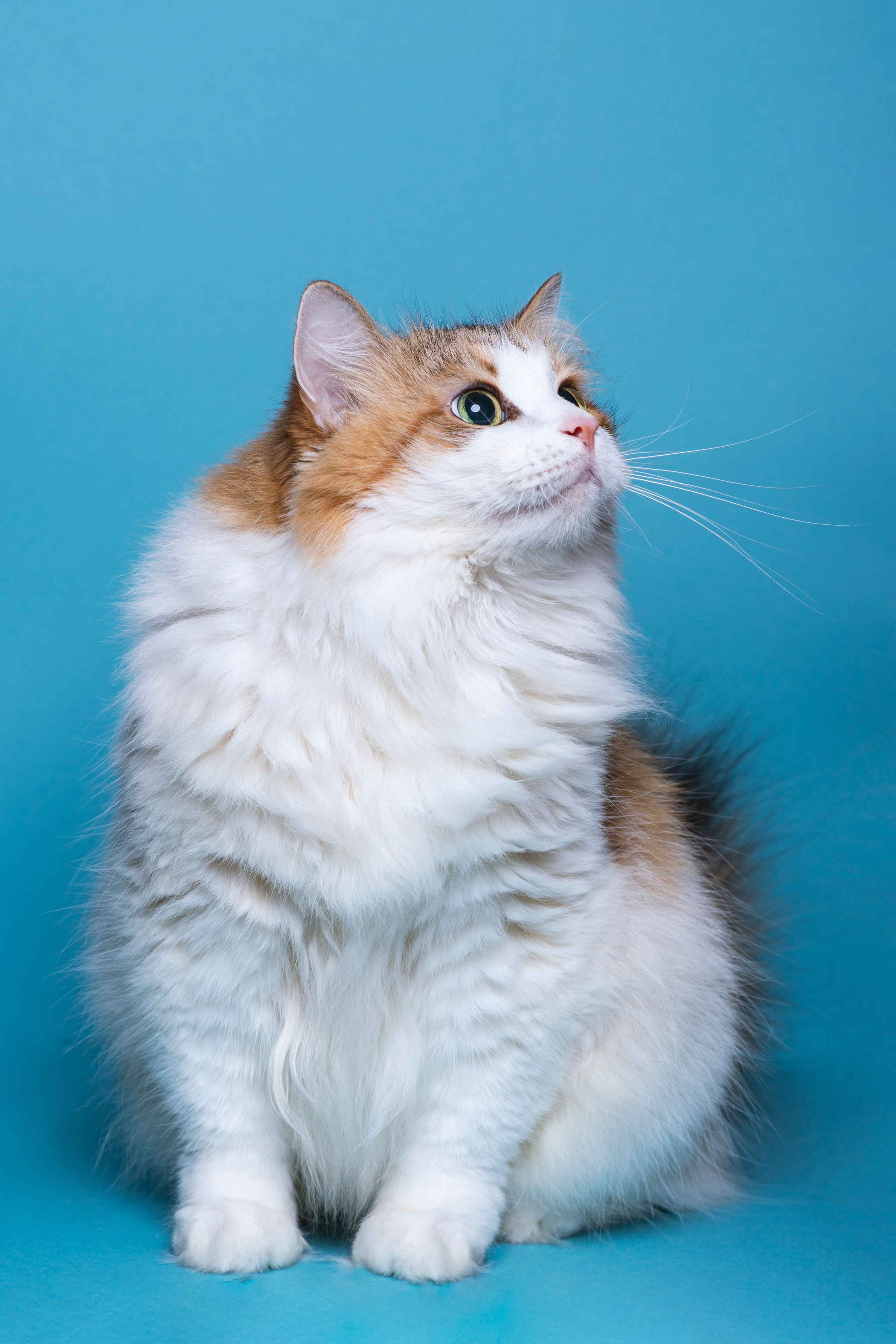 Контакты. Фотограф Ольга Пономарева