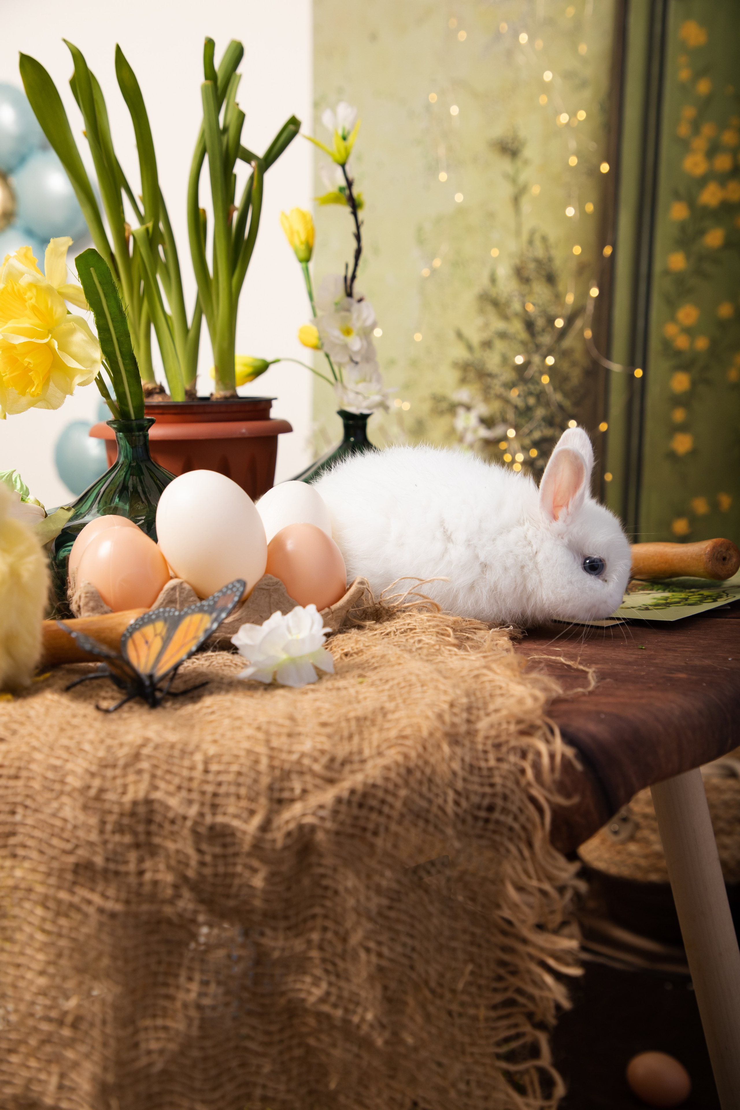 Свадебный фотограф в Сочи Наири