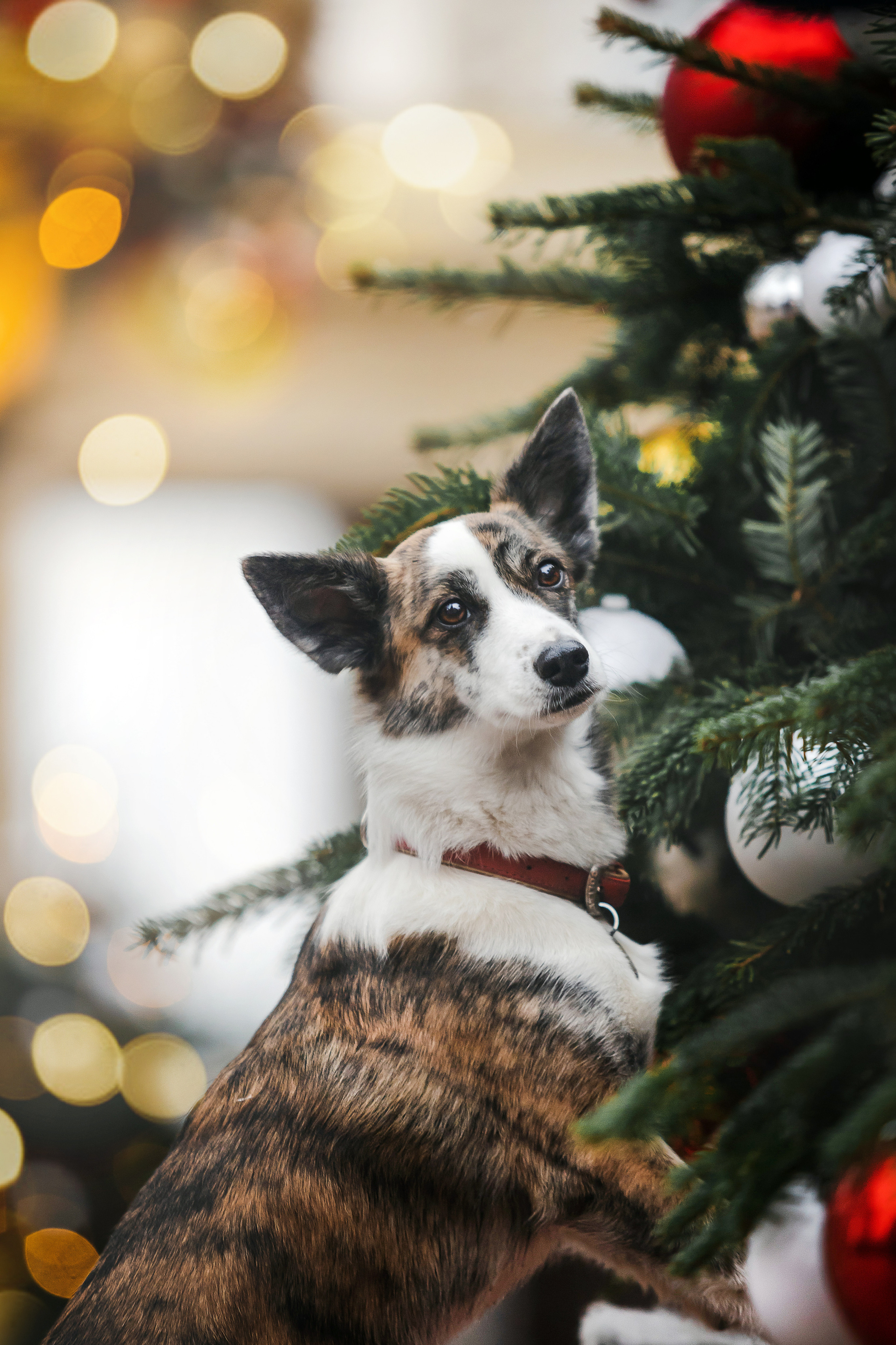 Городские локации для фотосессии