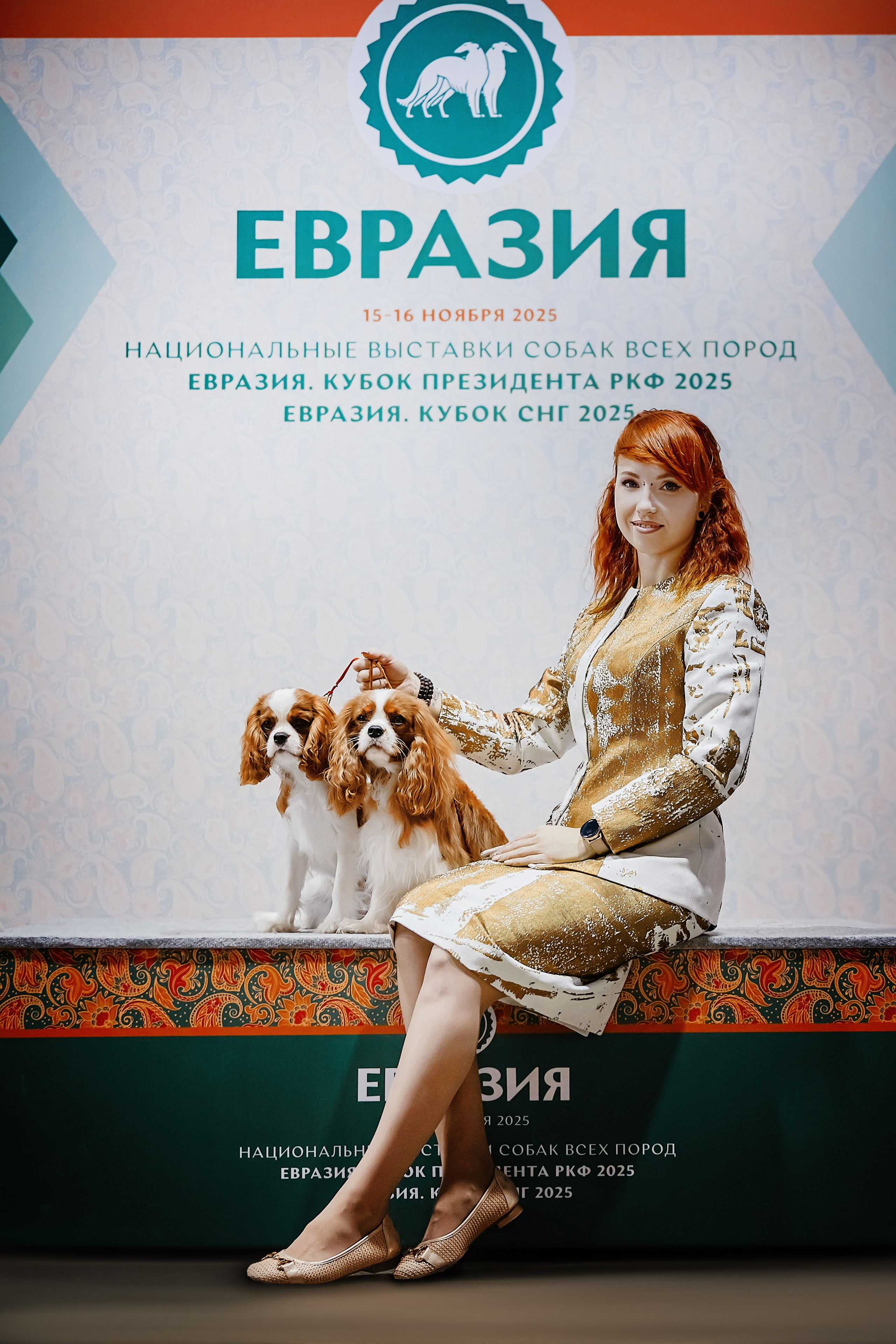 Шоу выставки и победы собак питомника Аззолли Дрим кавалер кинг чарльз спаниель в Воронеже. Питомник кавалер кинг чарльз спаниелей