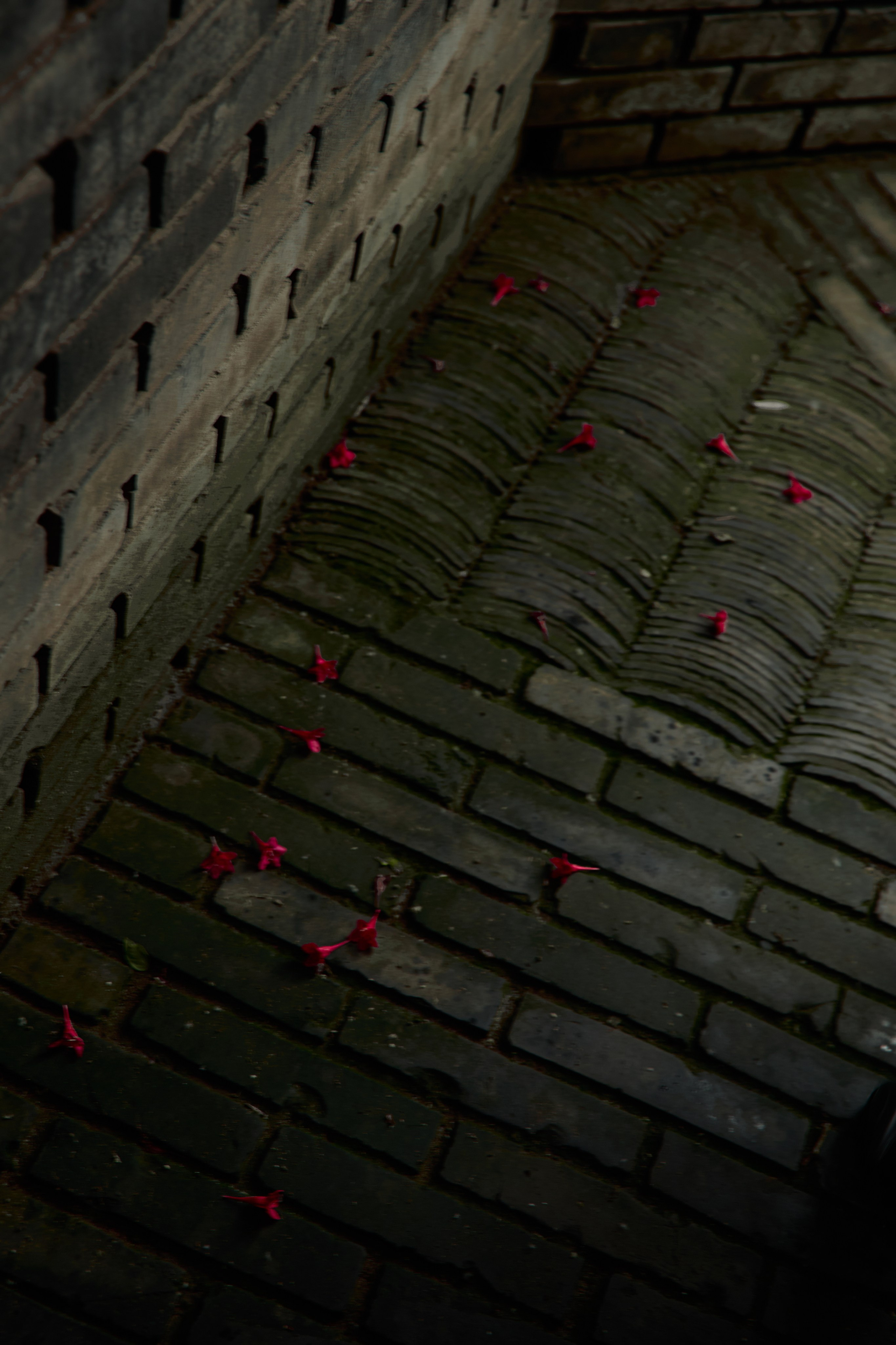 BRICK GALLERY. Предметный фотограф SHONGIN SERGEI