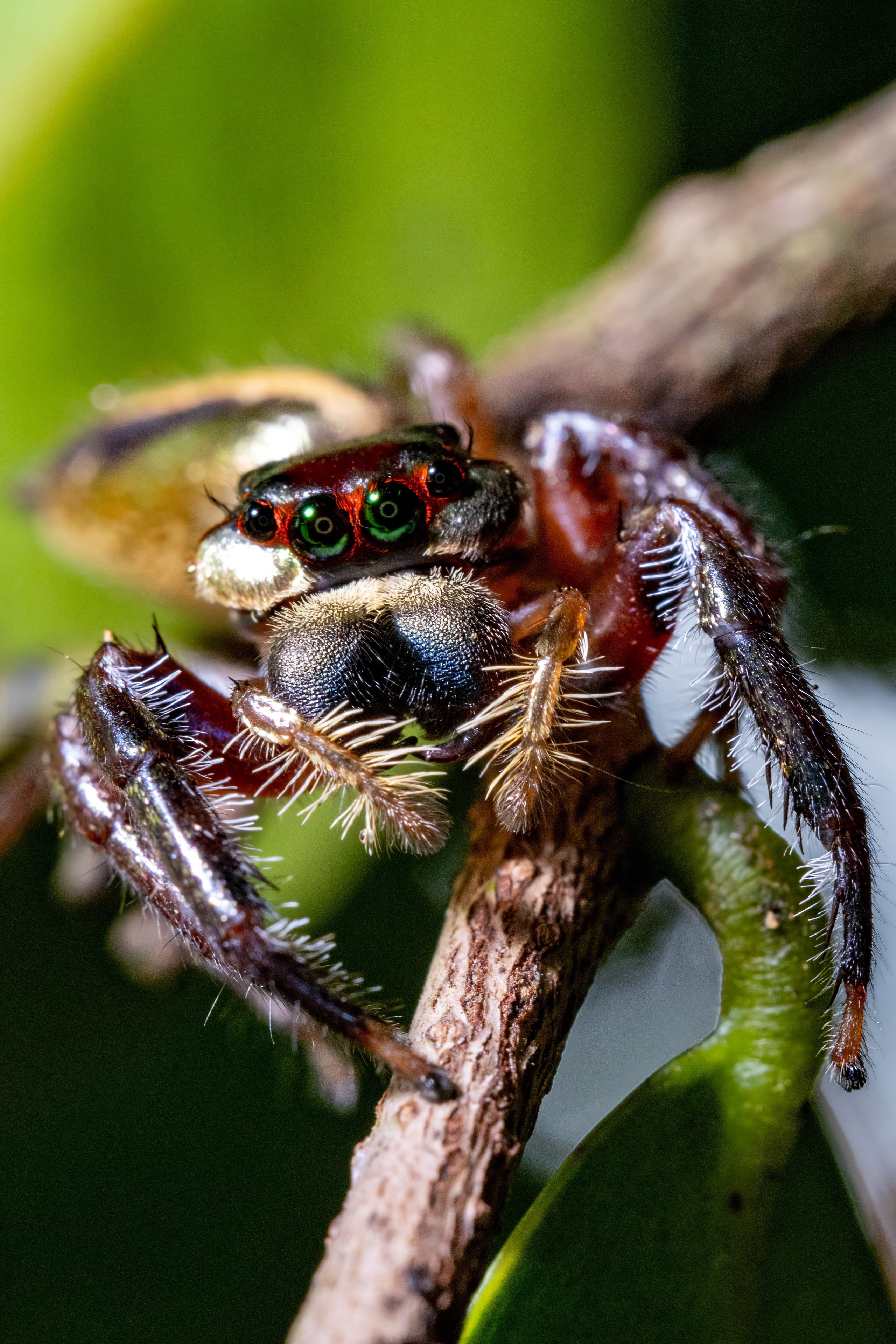 Кудрина Дарья. ARTEXPOPHOTO