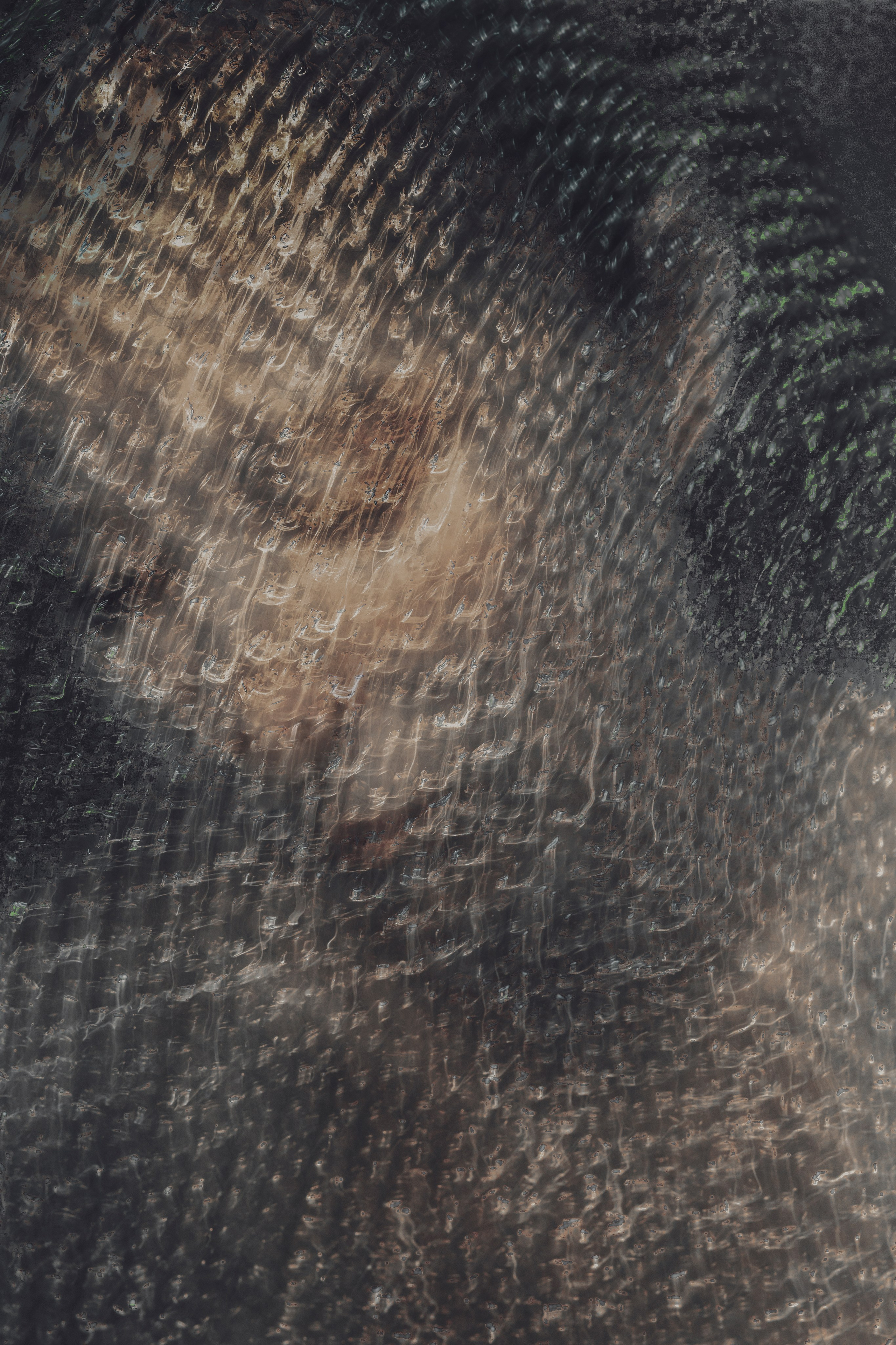 Светлана Давид. ARTEXPOPHOTO