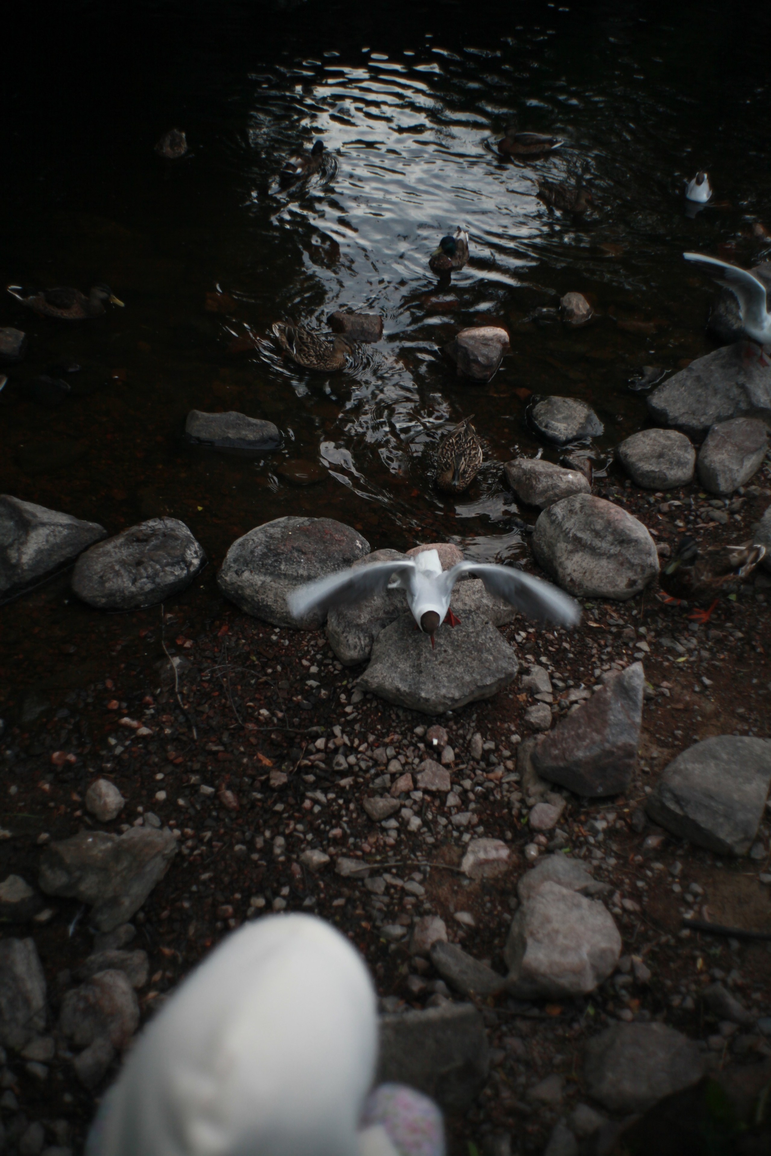 Soundscapes. Den Mirov — Photographer, Musician