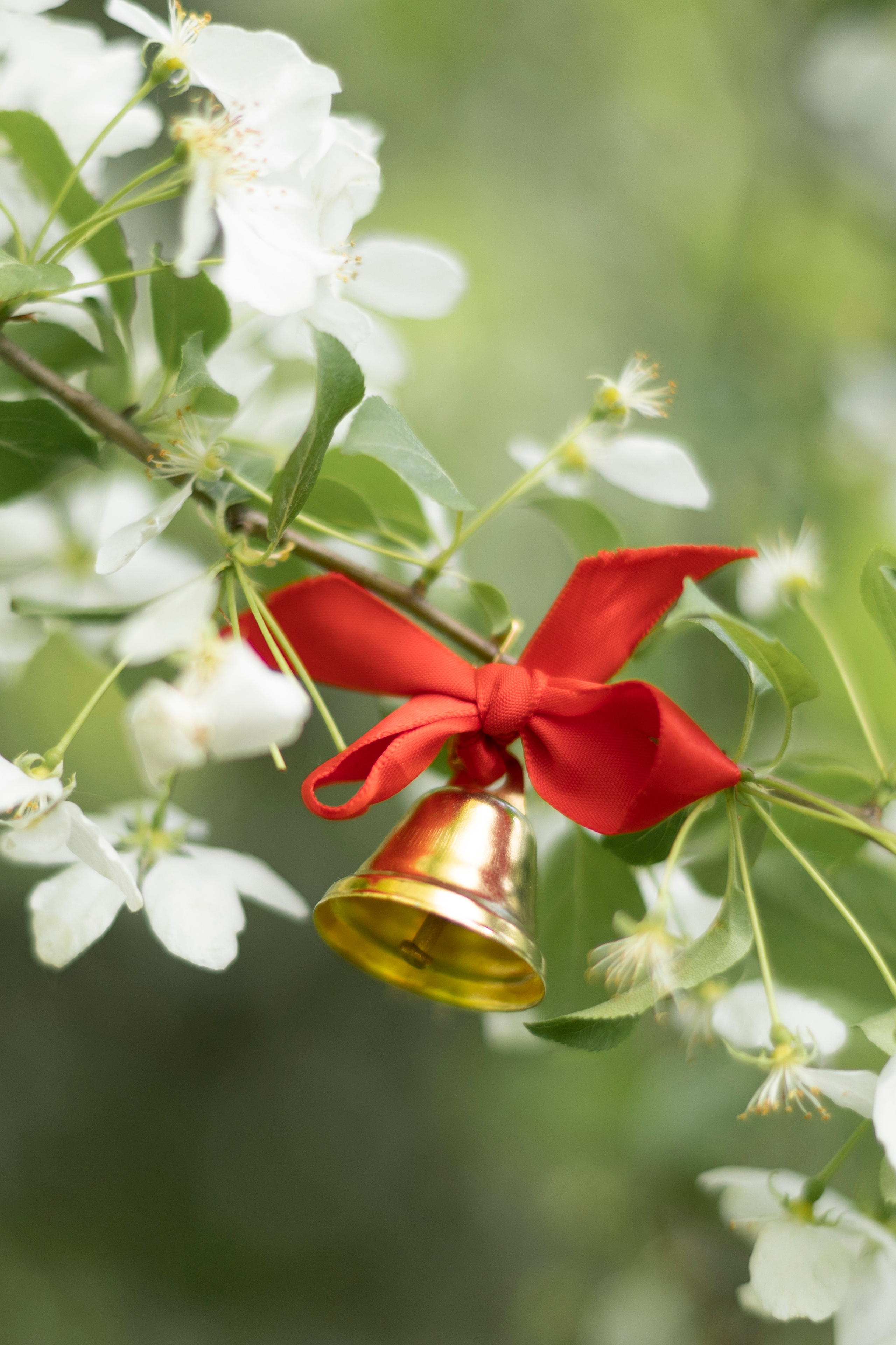 Репортажная съемка в Москве. Фотограф Екатерина Цаплина. Семейный фотограф в Москве Екатерина Цаплина
