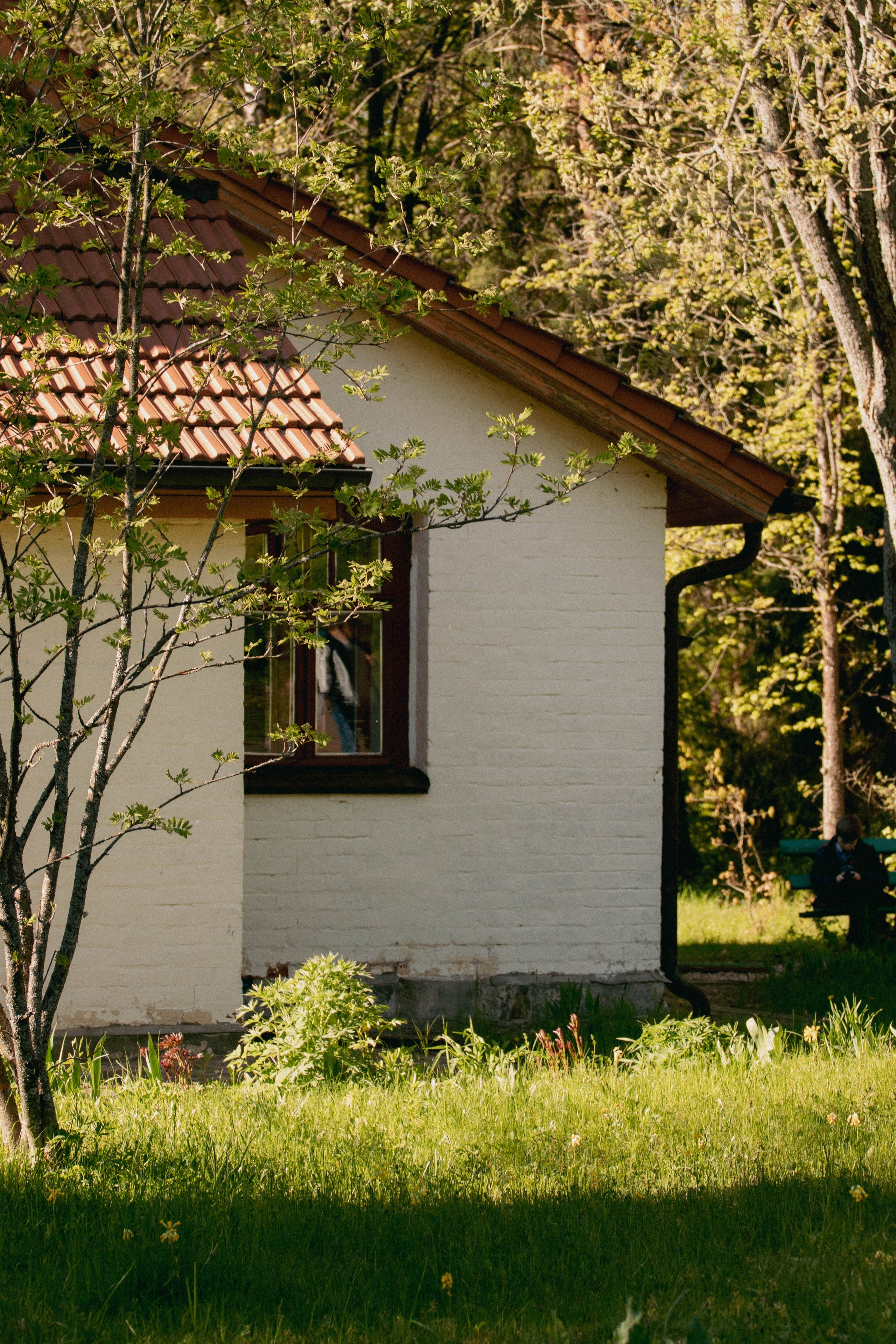 Музей-заповедник В. Д. Поленова. Концертный фотограф