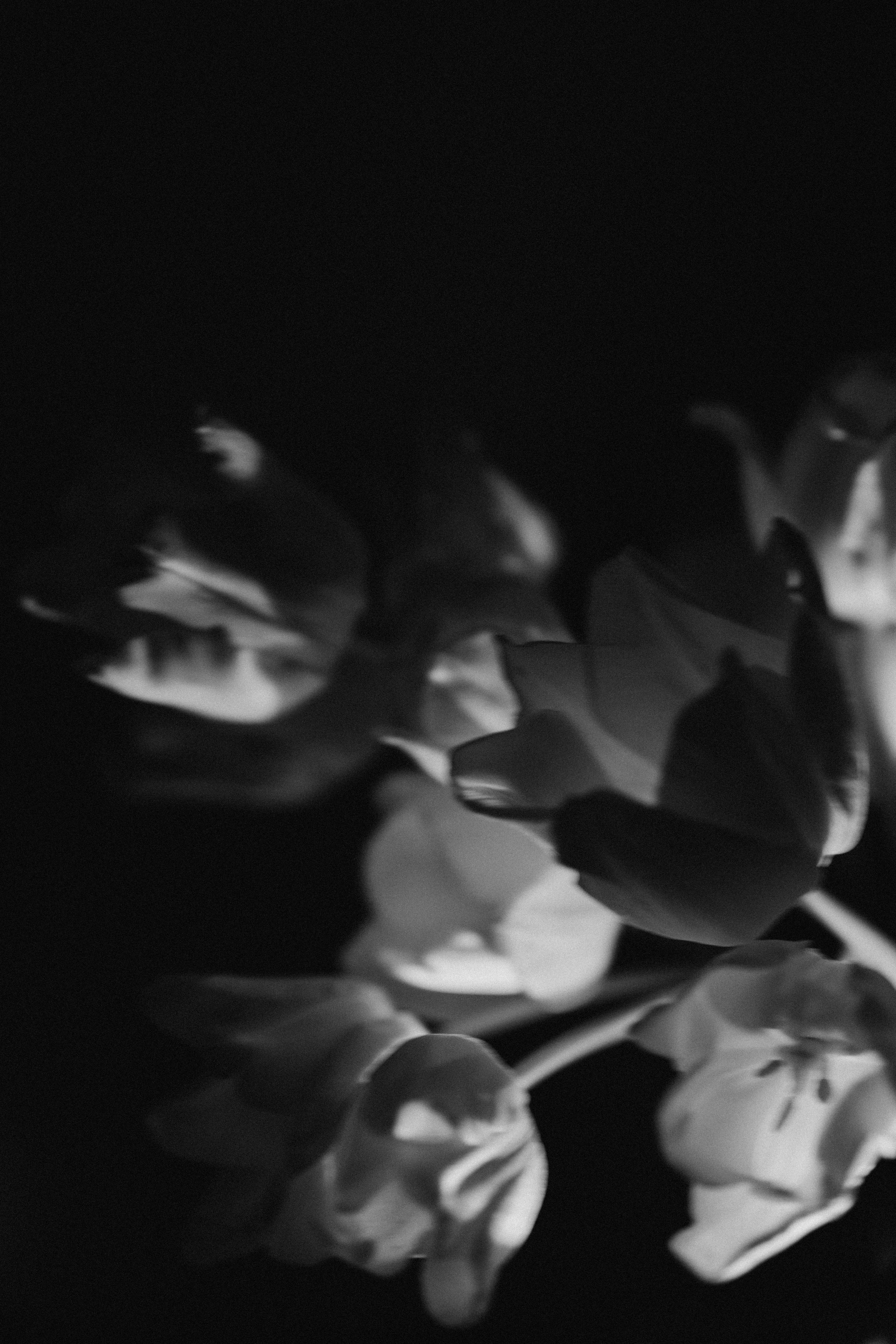 Контакты. Кристина Пархоменко. Фотограф. Краснодар