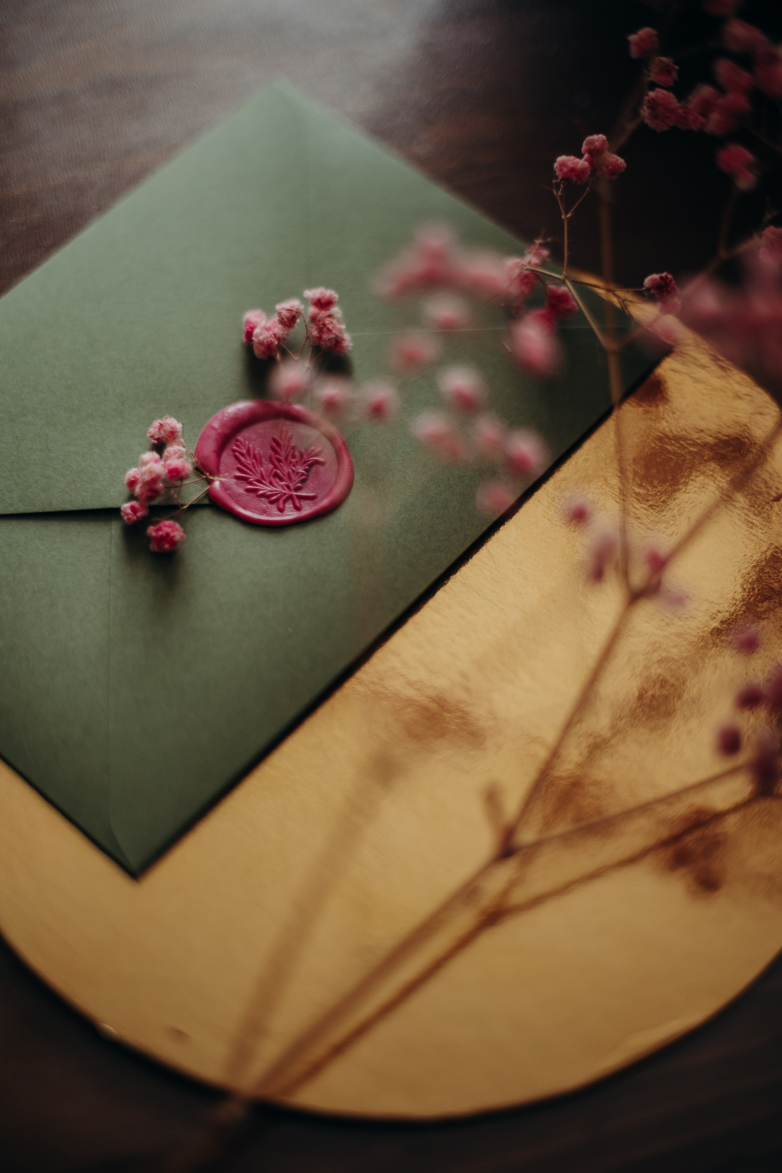 фотосессии с лошадьми тюмень