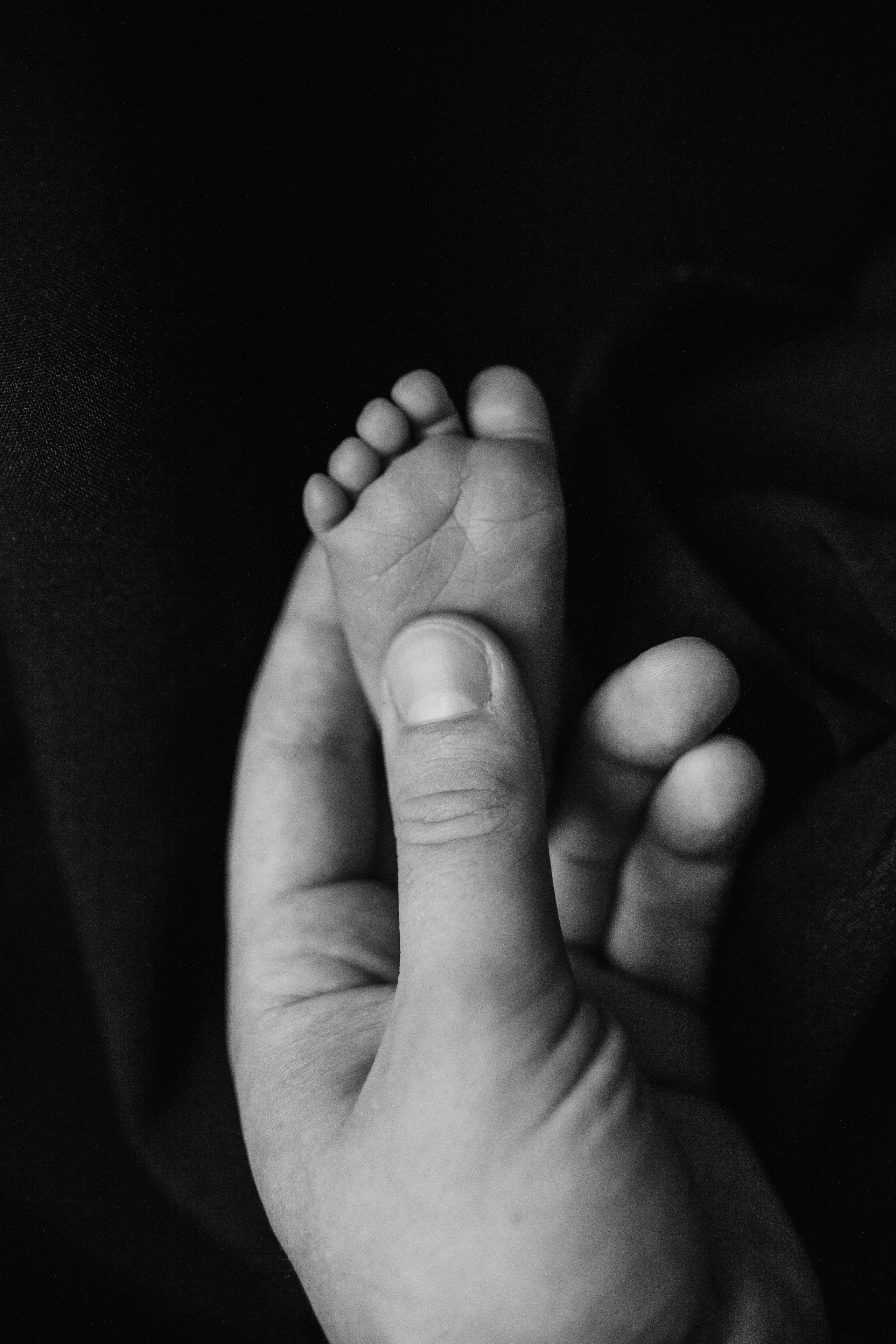 Портфолио. Фотограф новорожденных в Воронеже