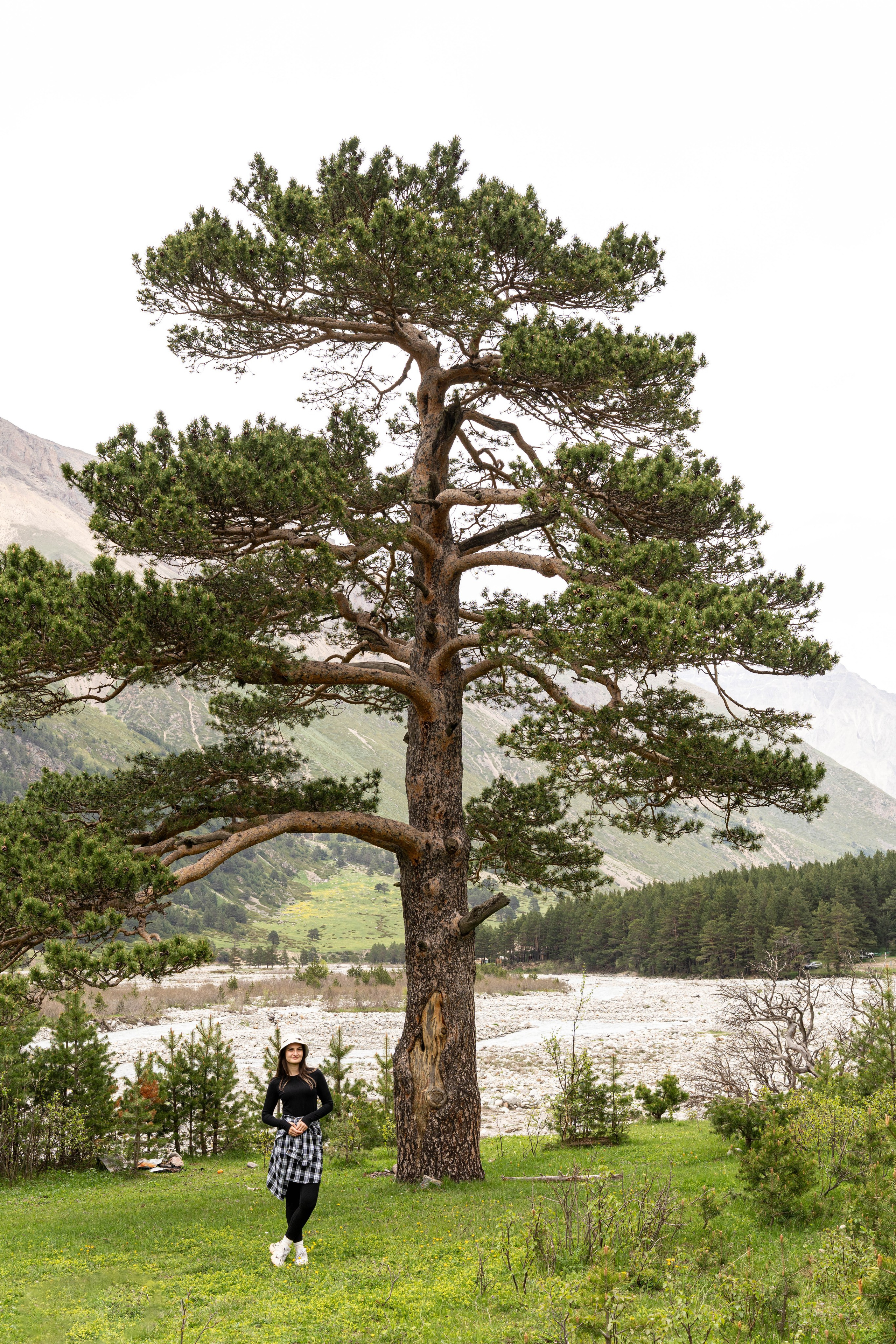 Джип тур — Чегемское ущелье 🪂. GIGI TOUR