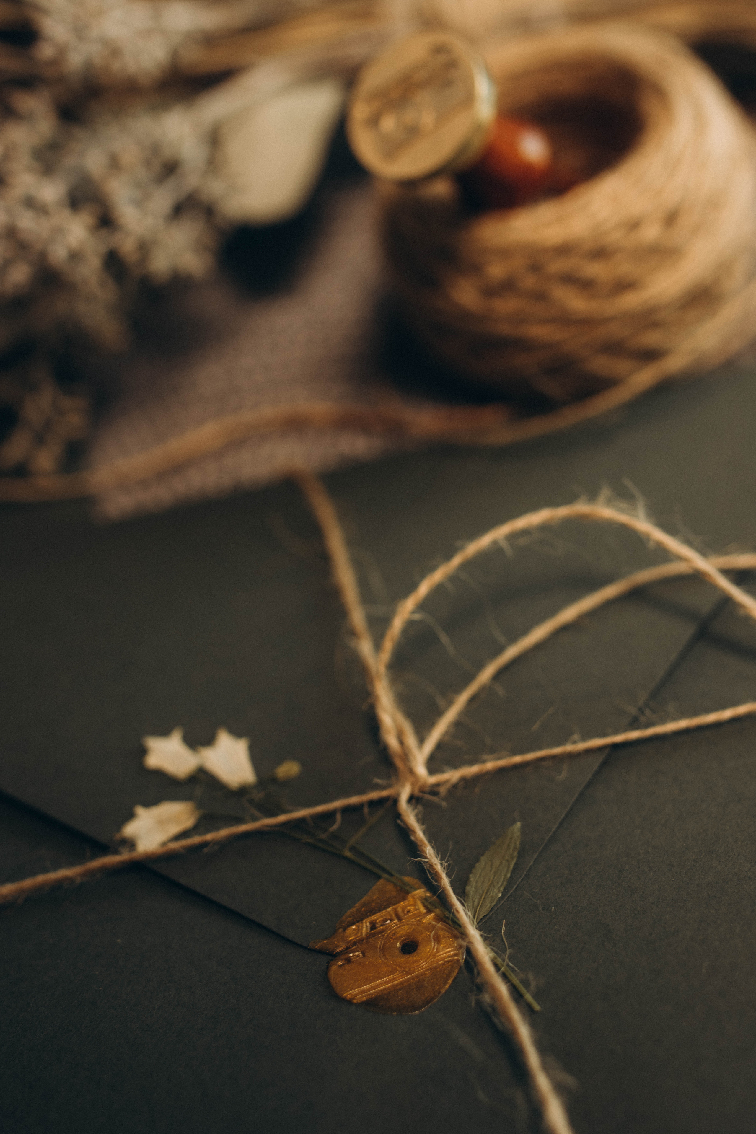 Сертификат. Фотограф в Санкт-Петербурге Ольга Гиляревская