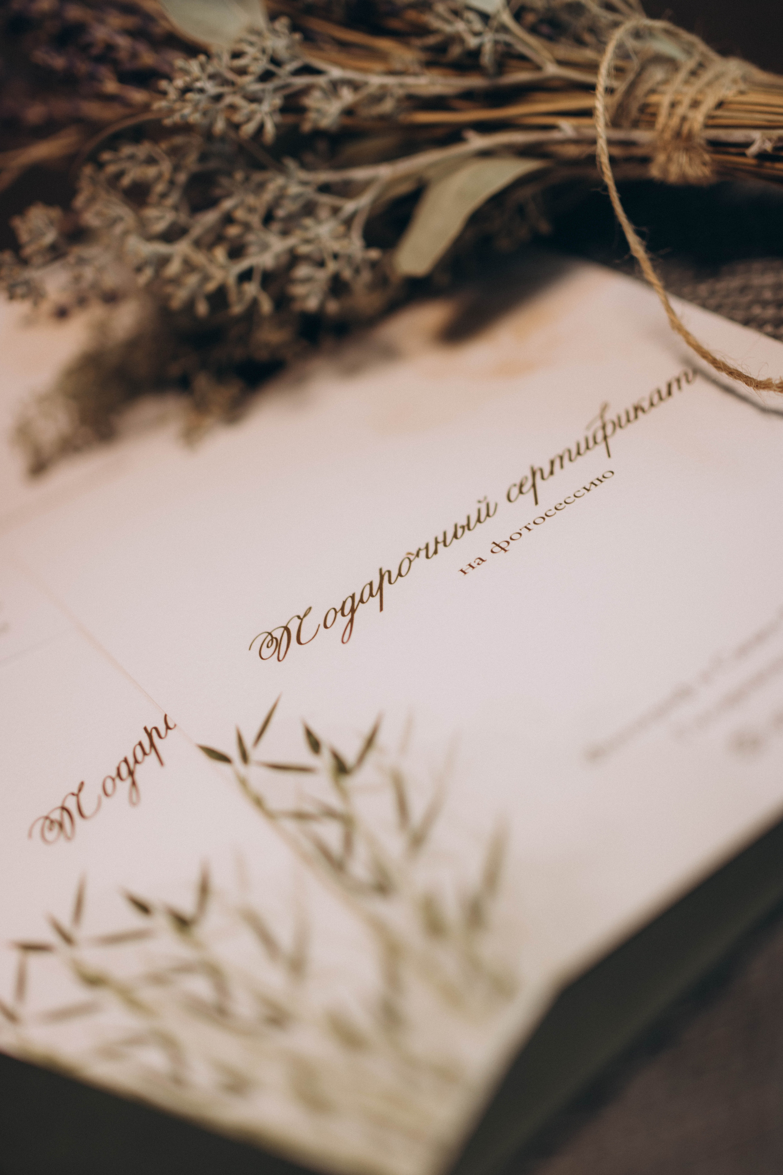 Сертификат. Фотограф в Санкт-Петербурге Ольга Гиляревская