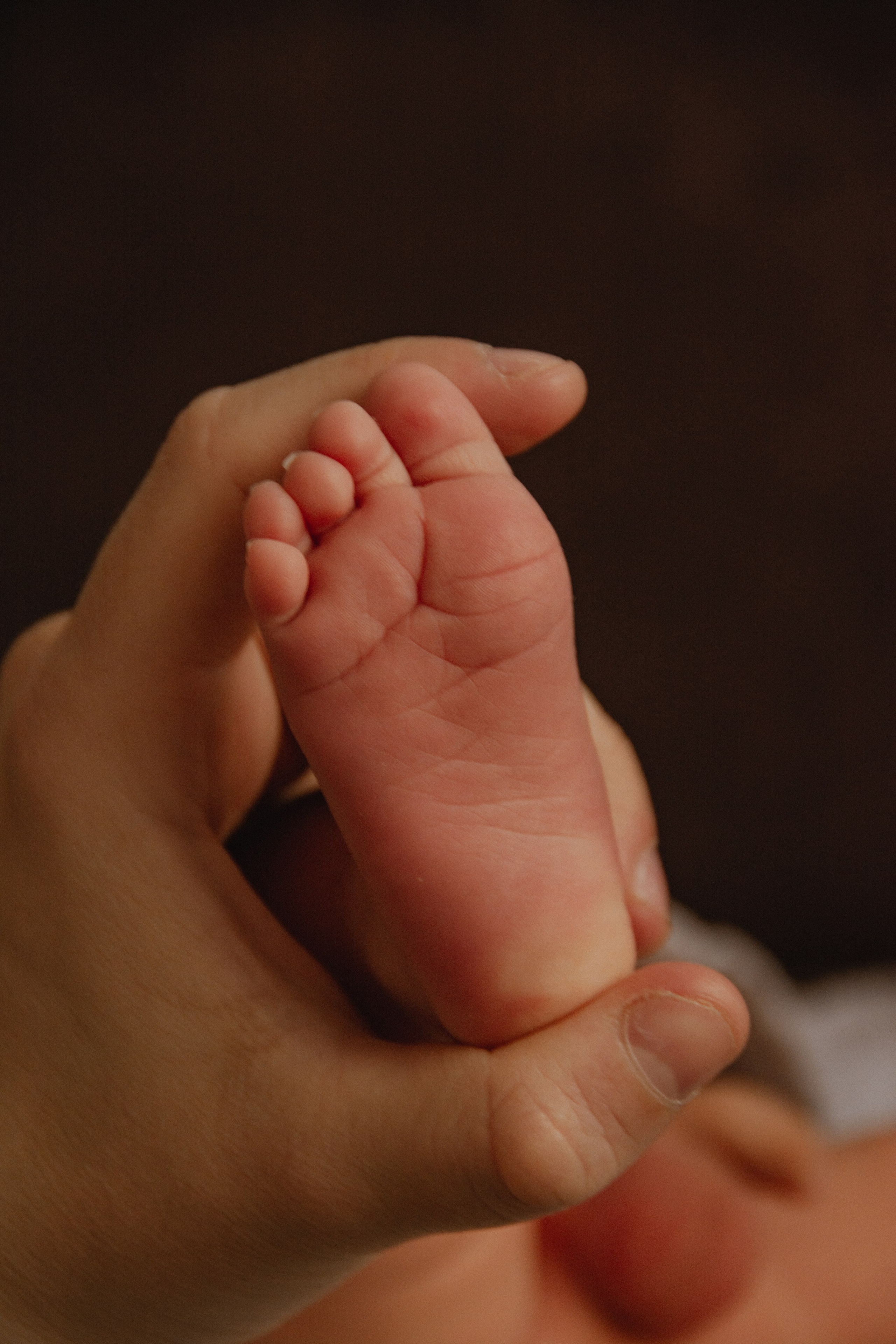 Ньюборн и лайф-стайл с младенцами. Фотограф Ольга Морятова