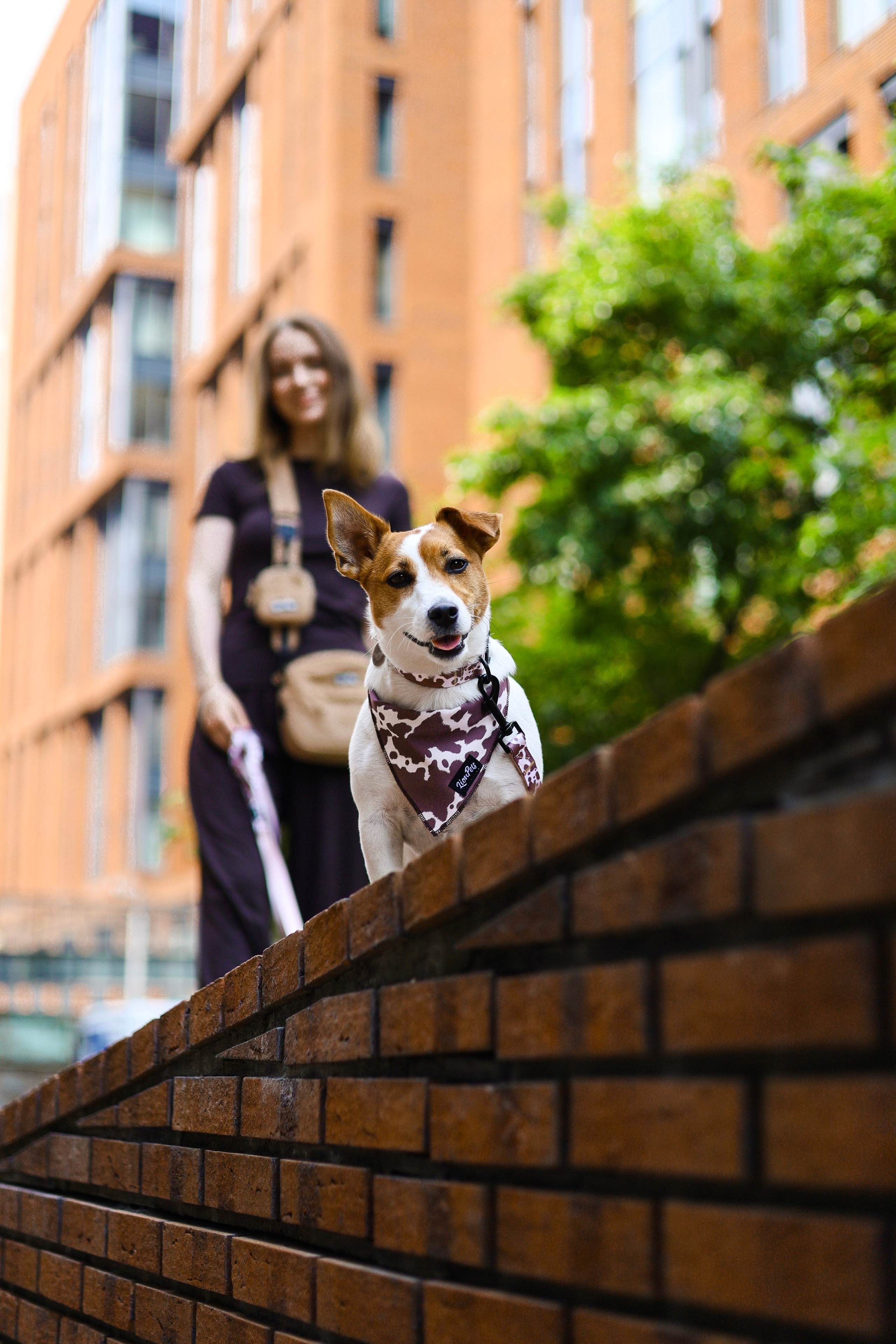 Фотограф-анималист Ксения Шевцова|Москва