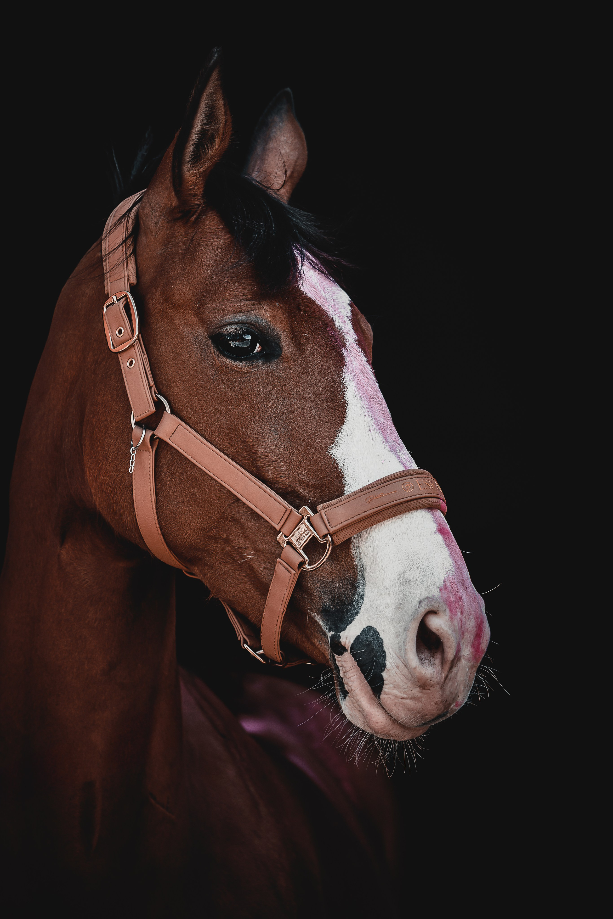 Услуги и цены. Фотограф Дмитрий Казачек