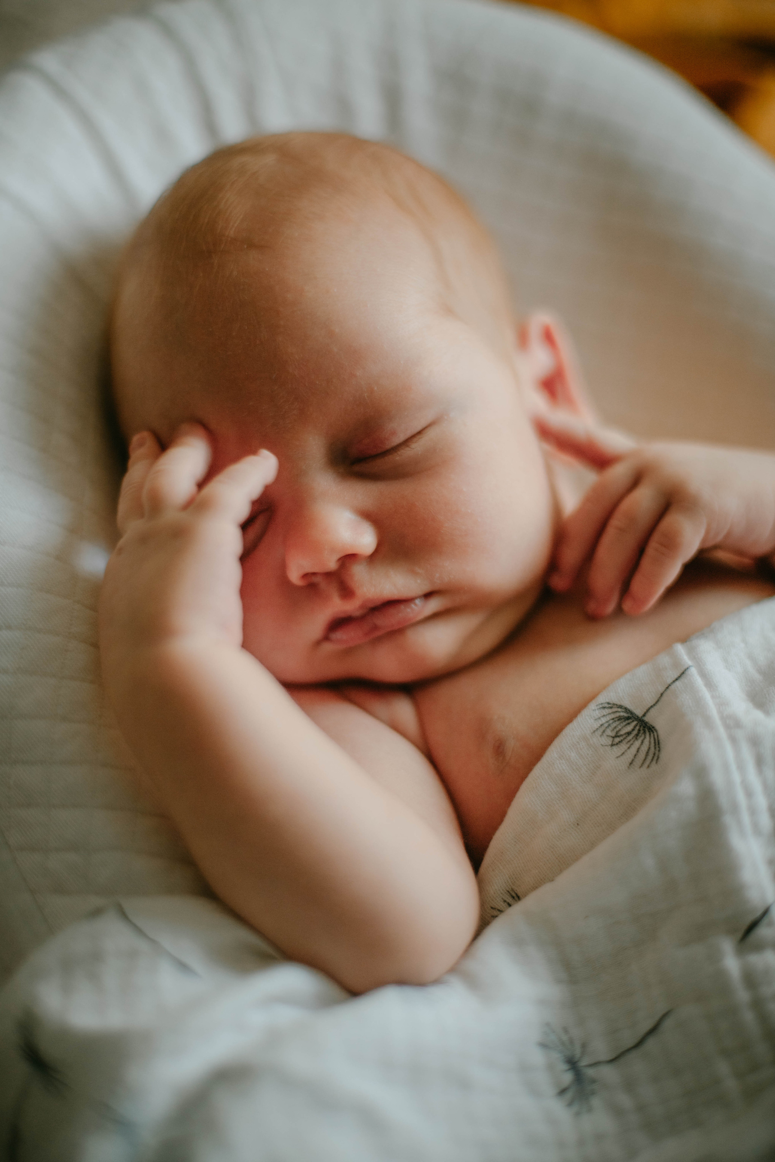 Услуги. Семейный и детский фотограф в Санкт-Петербурге