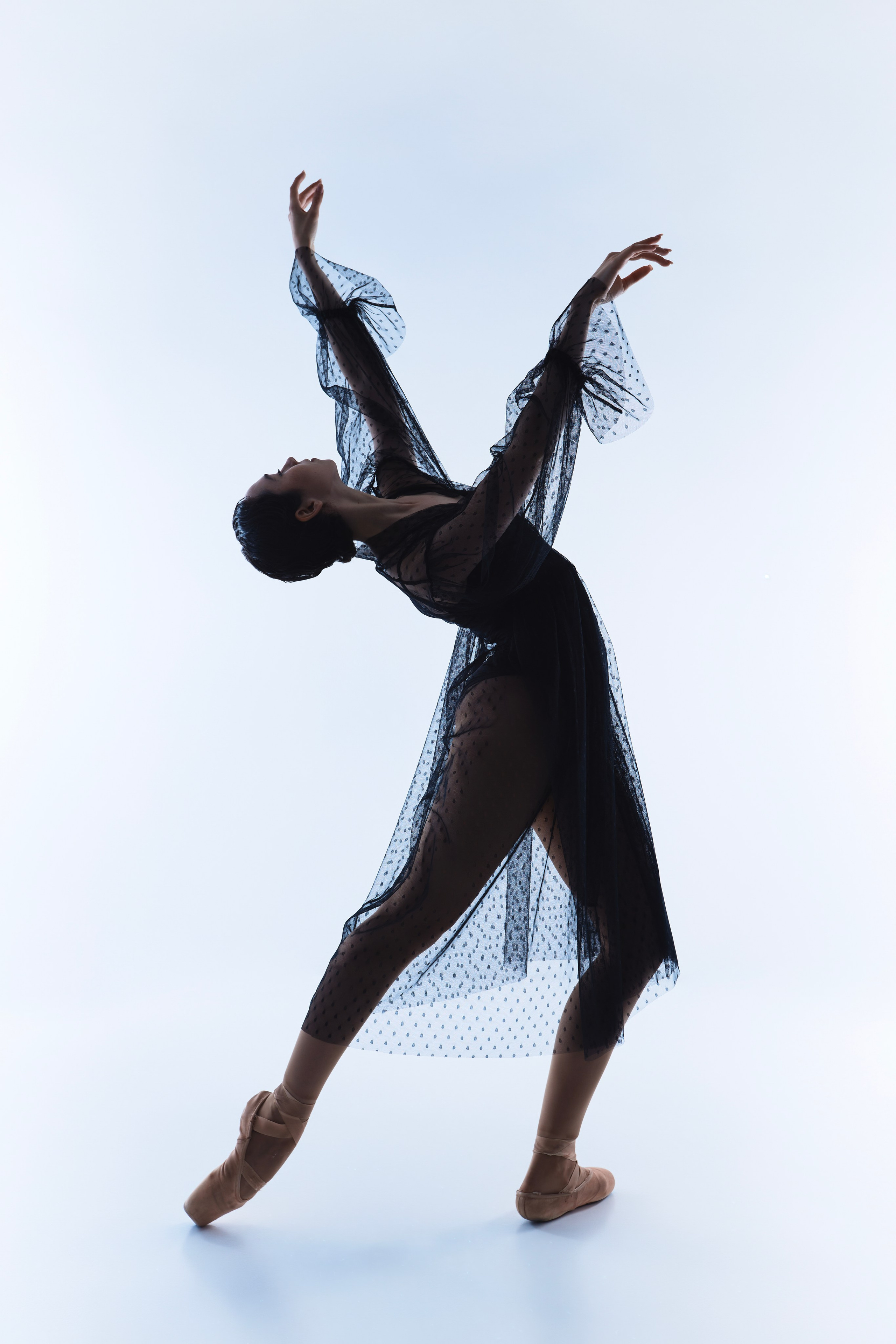 соцконтракт на фотографа обучение