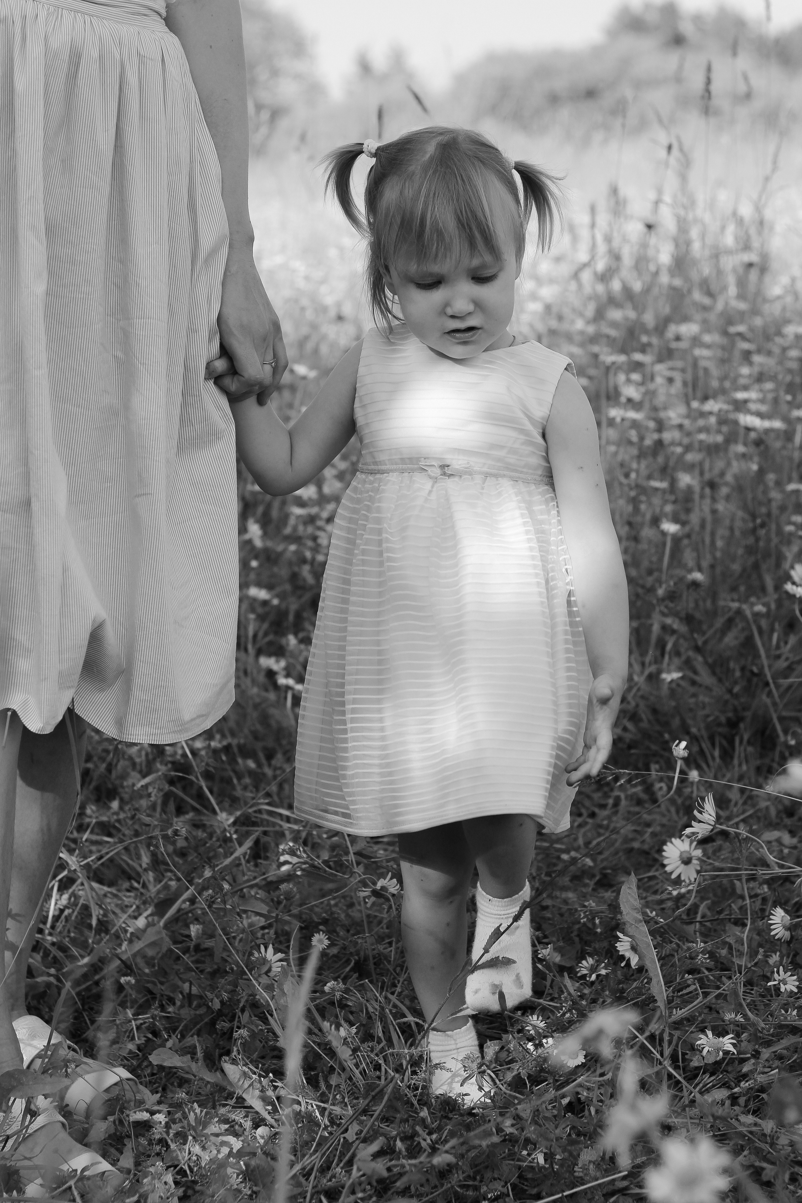 Услуги. Фотограф Татьяна Рыжкова Йошкар-Ола|Чебоксары|Козьмодемьянск